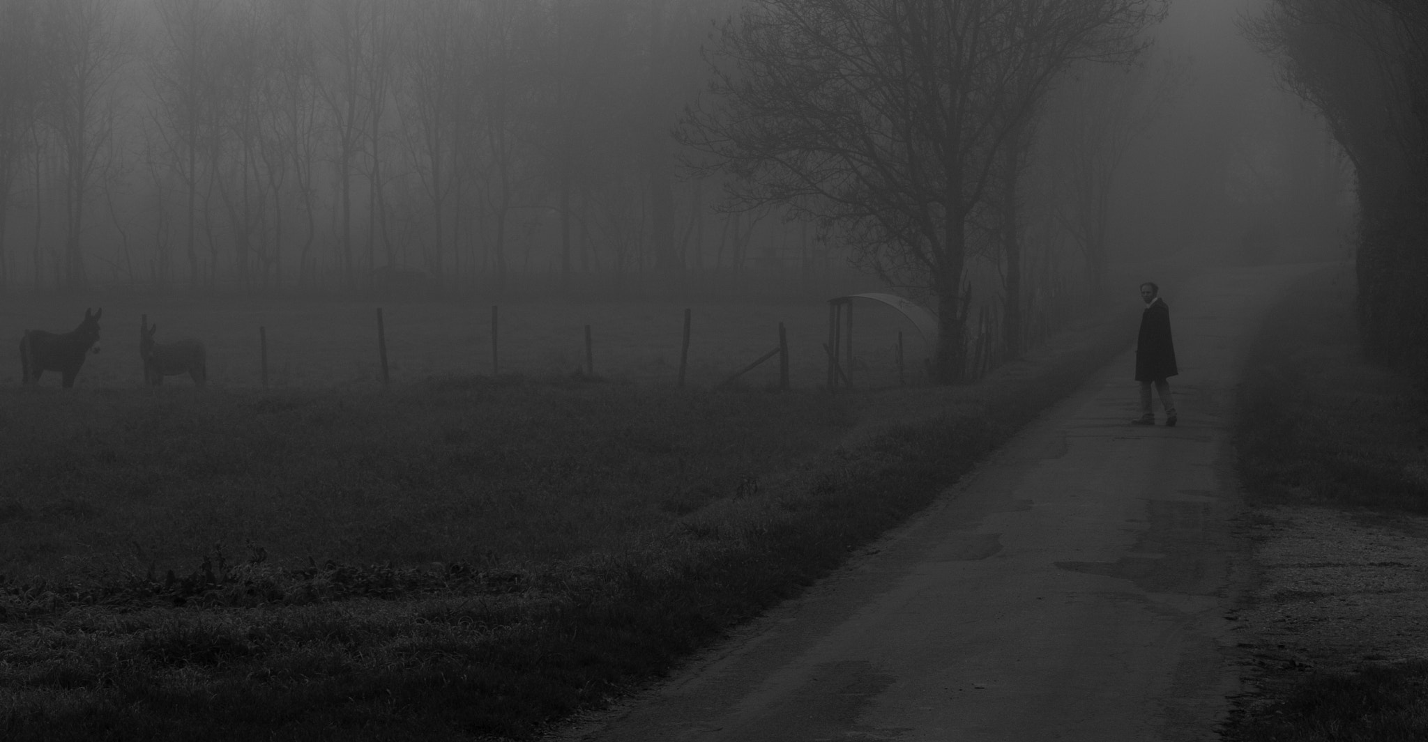 Canon EOS 450D (EOS Rebel XSi / EOS Kiss X2) sample photo. Bnw (of ) photography