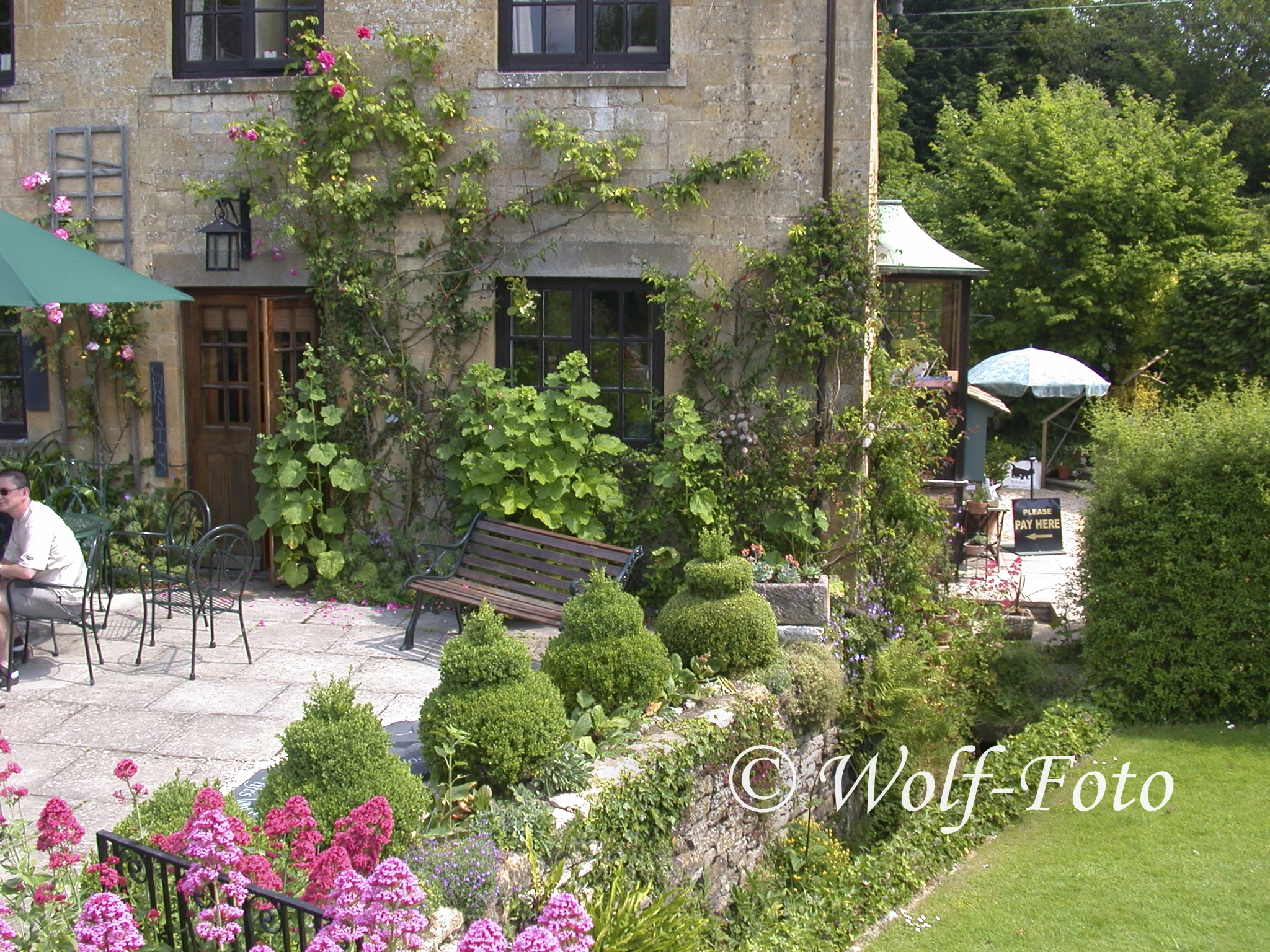 Nikon E995 sample photo. Garden photography