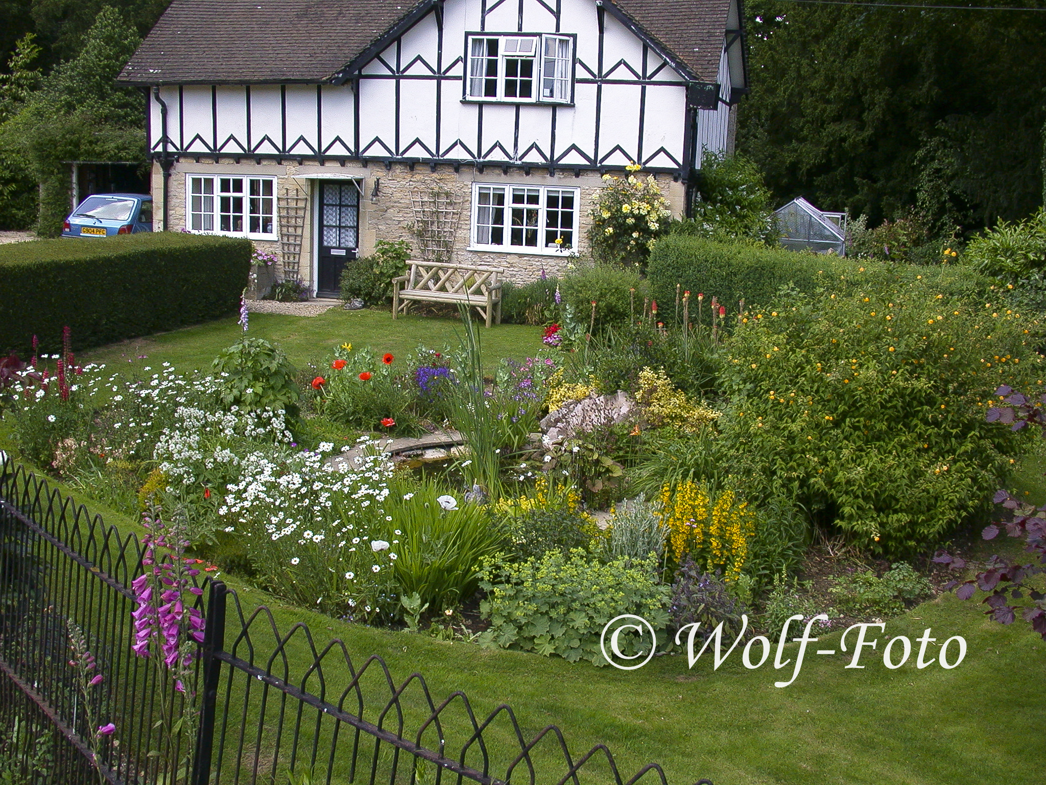Nikon E995 sample photo. Garden photography