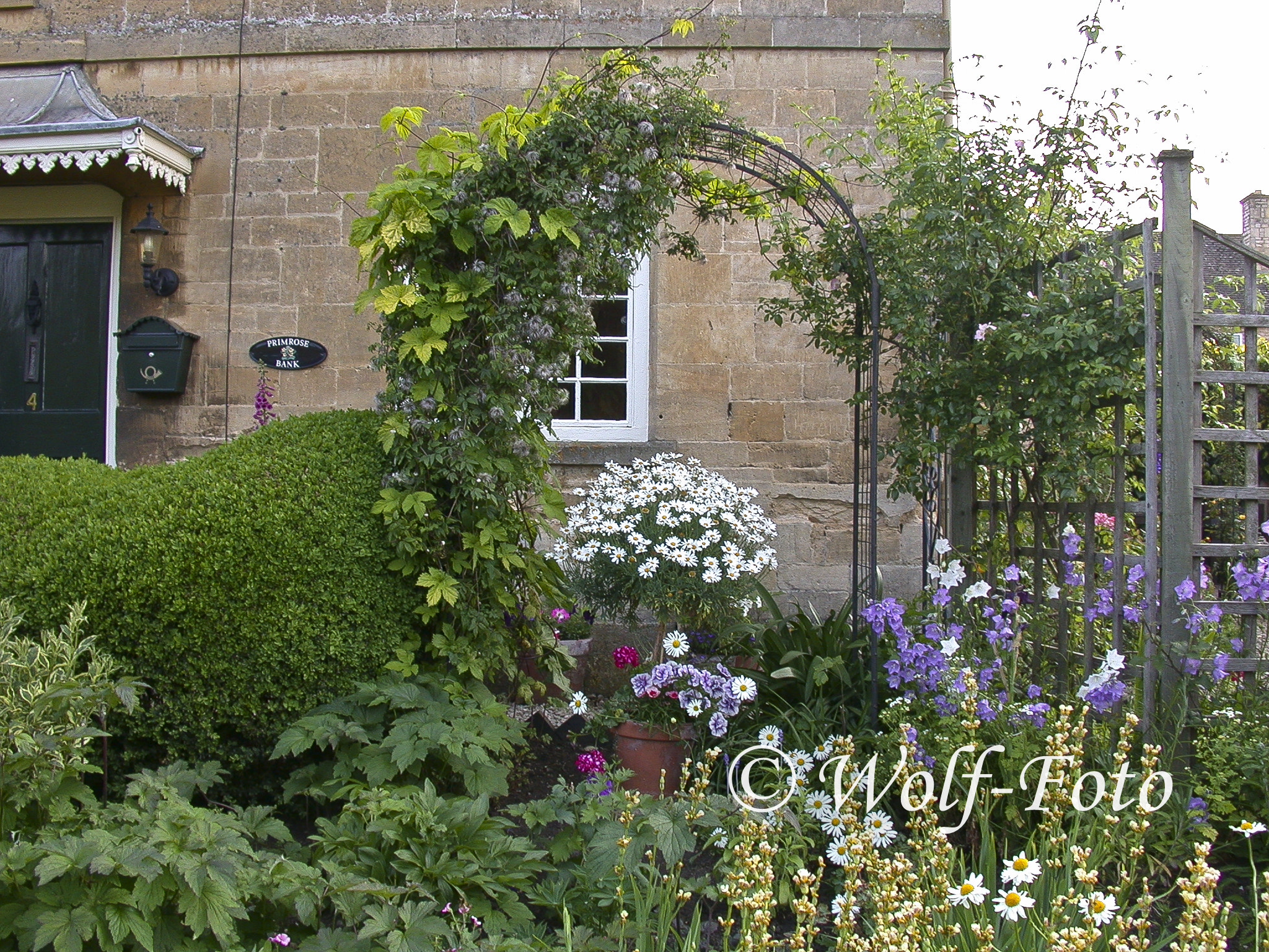 Nikon E995 sample photo. Garden photography