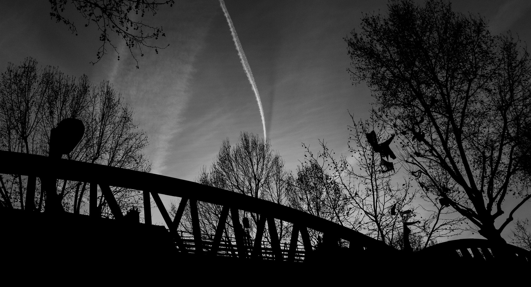 Canon EOS 450D (EOS Rebel XSi / EOS Kiss X2) sample photo. Bnw (of ) photography