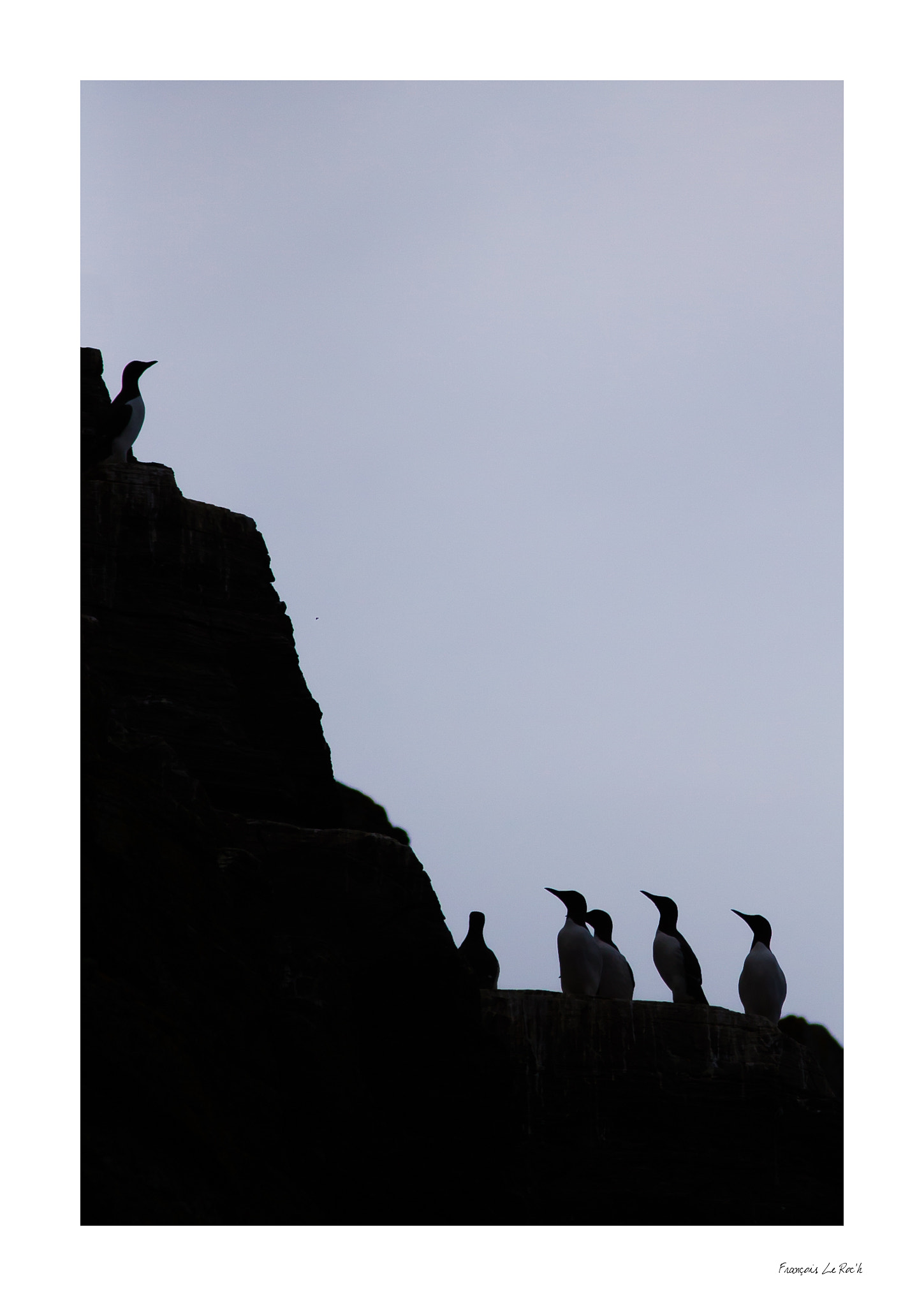 Canon EOS 50D + Canon EF 300mm F4L IS USM sample photo. Sark photography