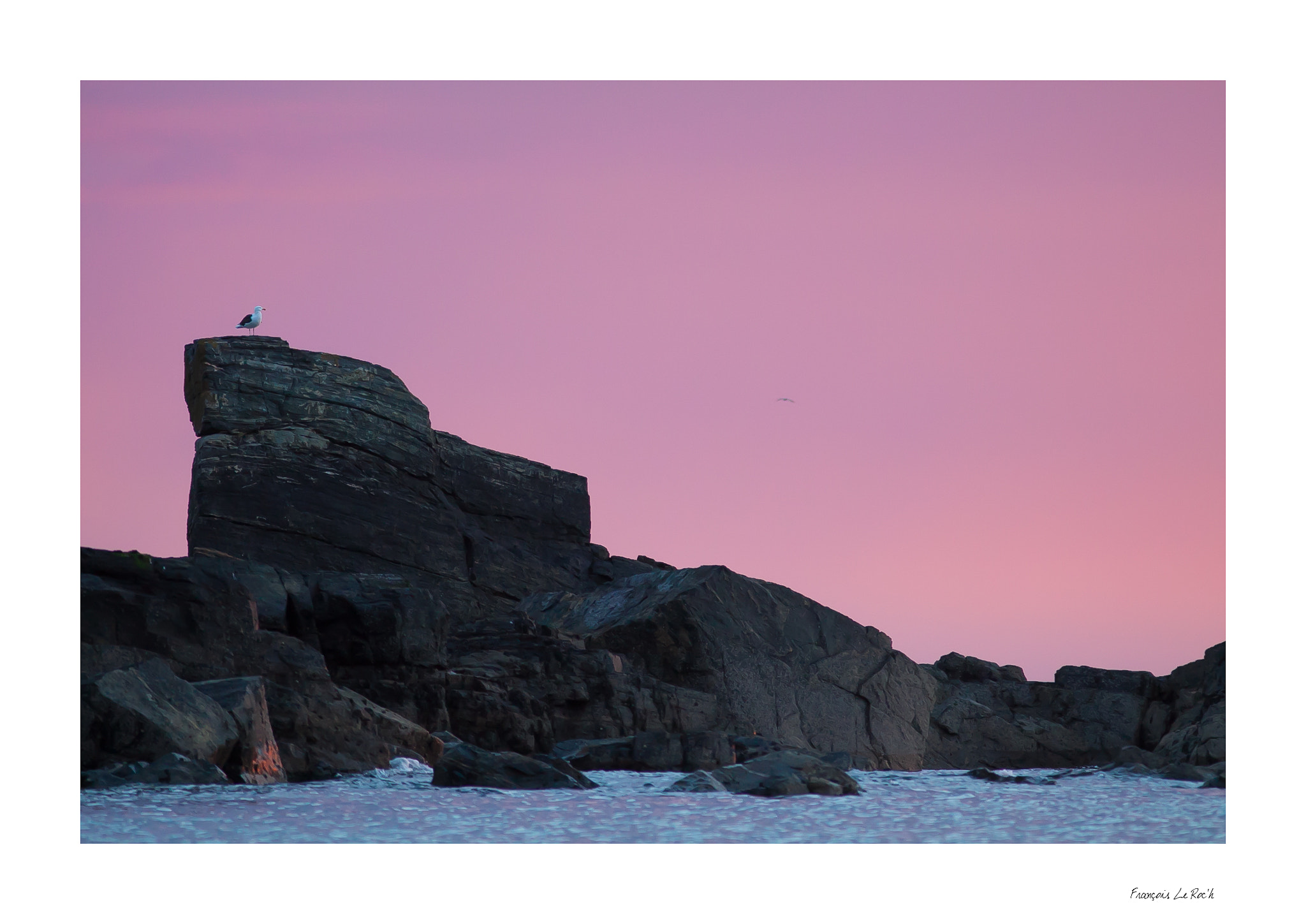 Canon EOS 50D + Canon EF 300mm F4L IS USM sample photo. Sark photography