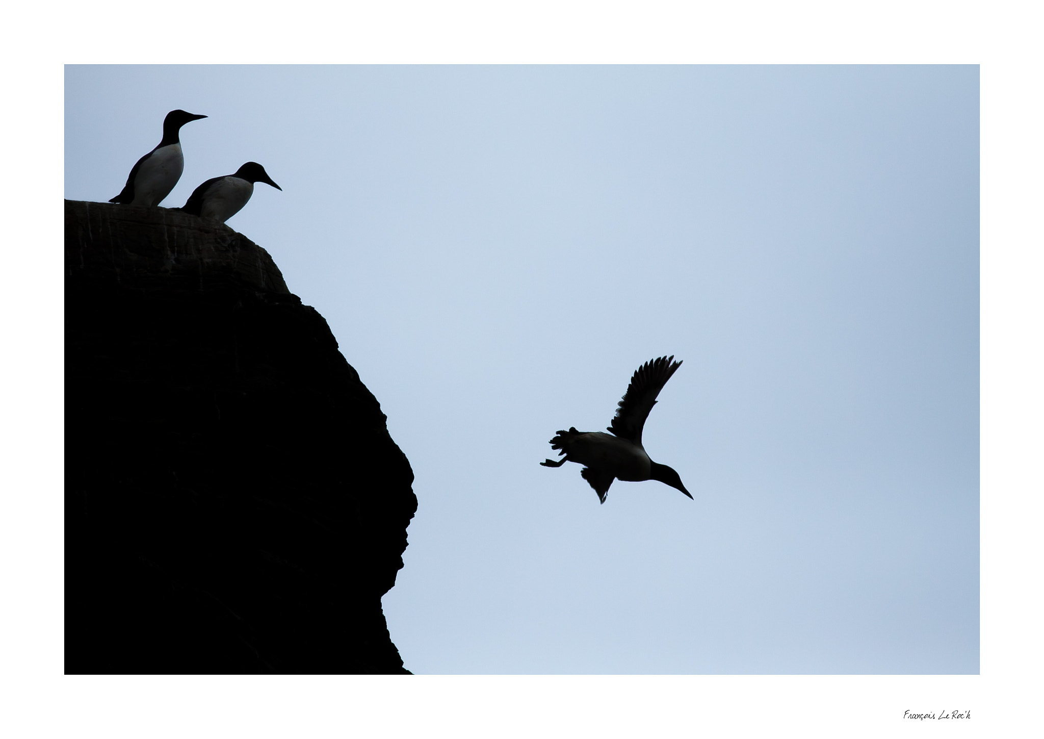 Canon EOS 50D + Canon EF 300mm F4L IS USM sample photo. Sark photography