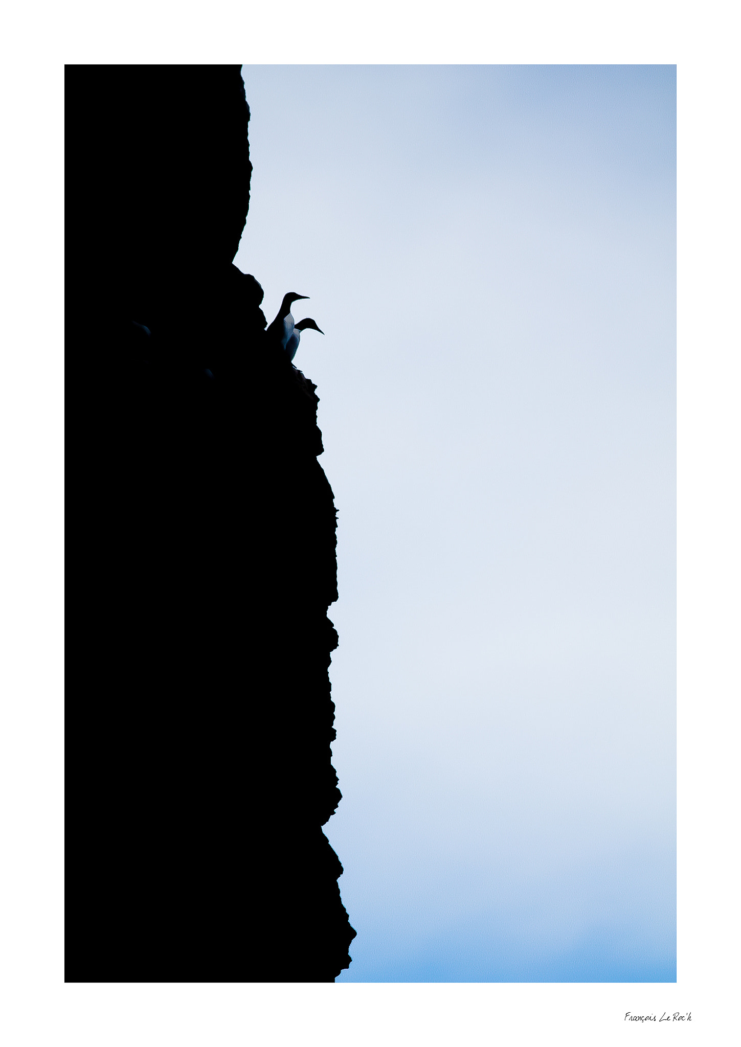Canon EOS 50D + Canon EF 300mm F4L IS USM sample photo. Sark photography