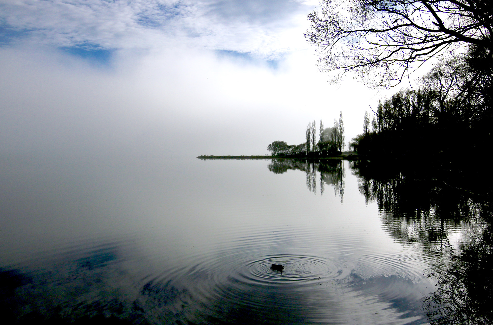 Canon 11-20mm sample photo. Lake waihola photography