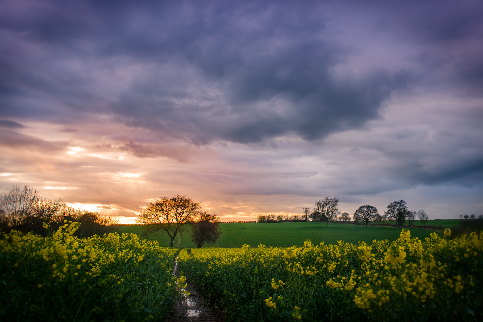 Sony a7R + Sigma 35mm F1.4 DG HSM Art sample photo. Warfield sunset photography