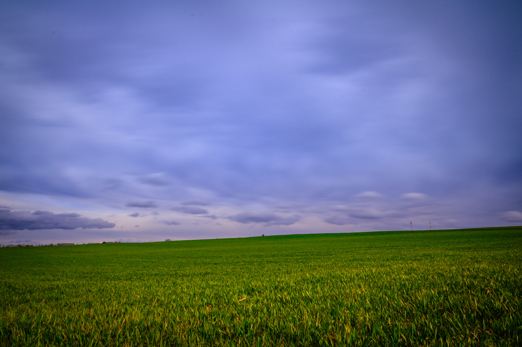 Tamron SP AF 17-50mm F2.8 XR Di II LD Aspherical (IF) sample photo. Grass photography