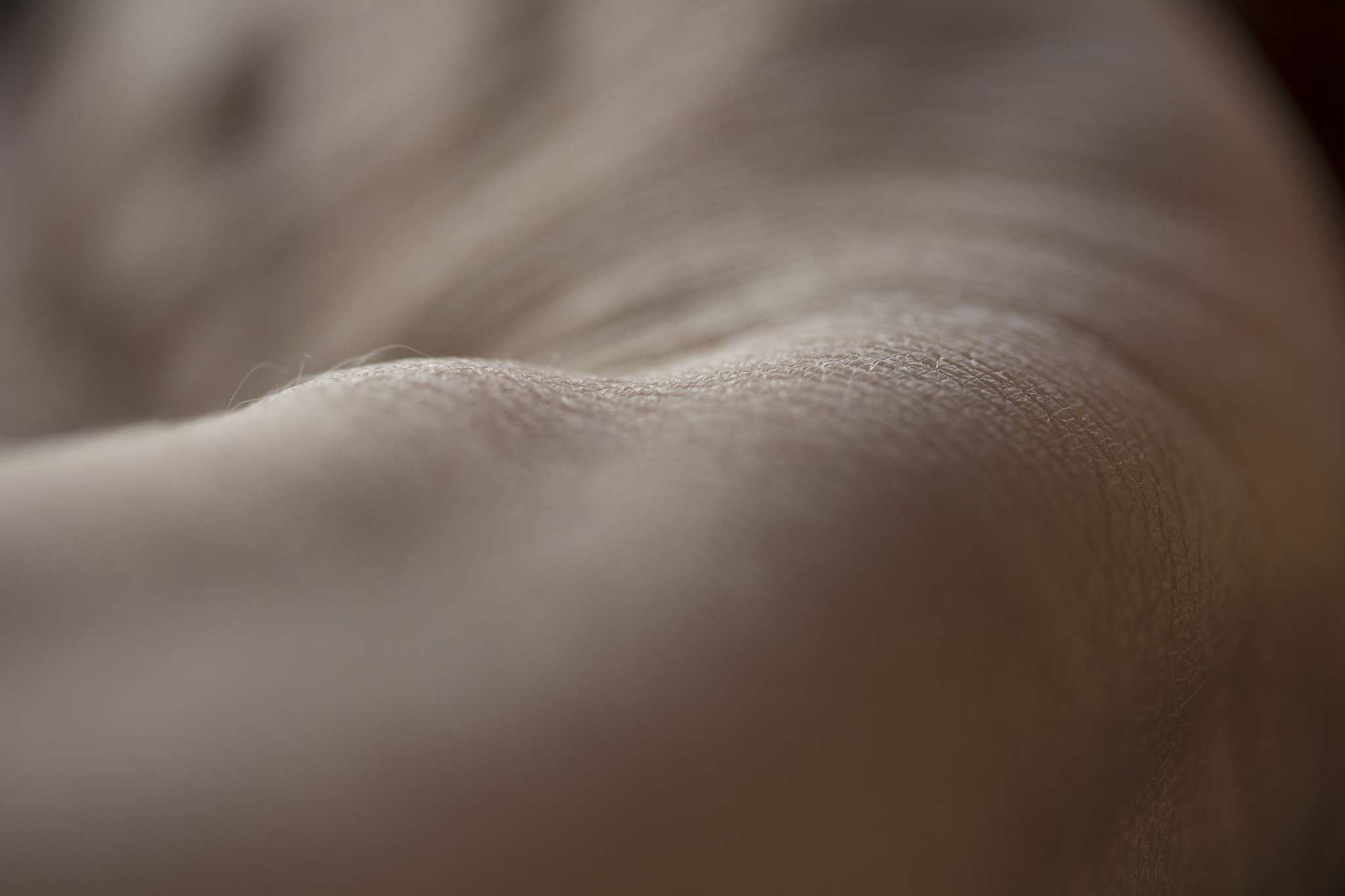 Canon EF-S 60mm F2.8 Macro USM sample photo. Skin photography
