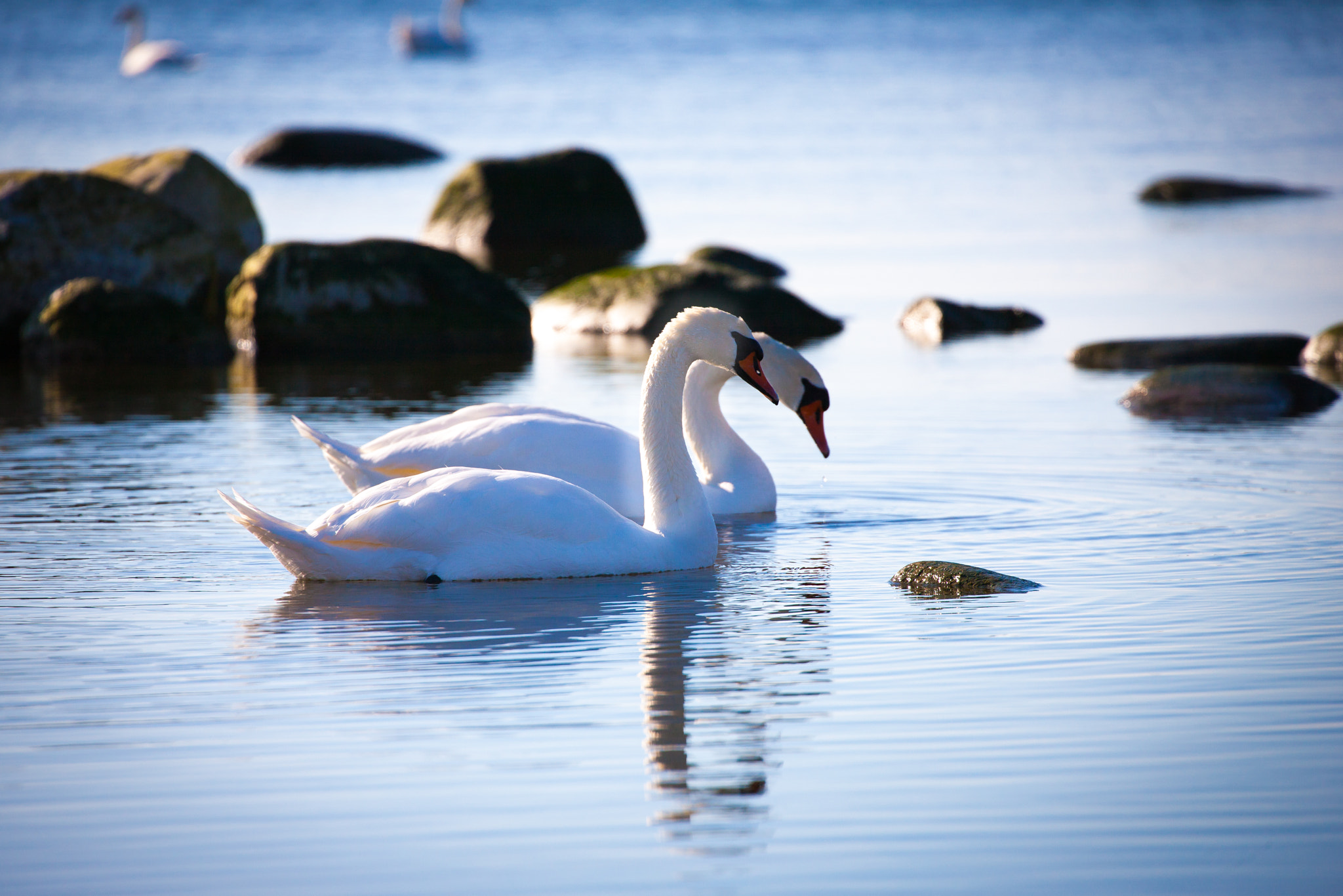 Canon EOS-1Ds Mark III sample photo. Imgl0571-2.jpg photography
