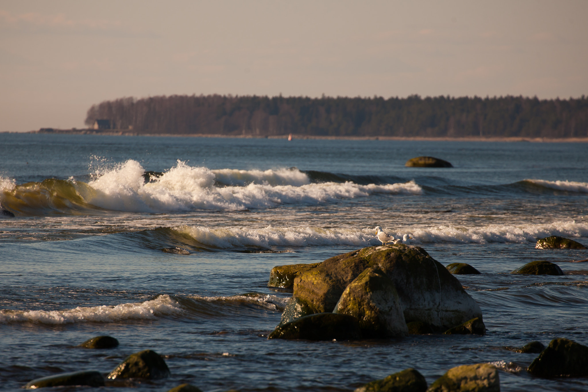 Canon EOS-1Ds Mark III sample photo. Imgl0619-2.jpg photography
