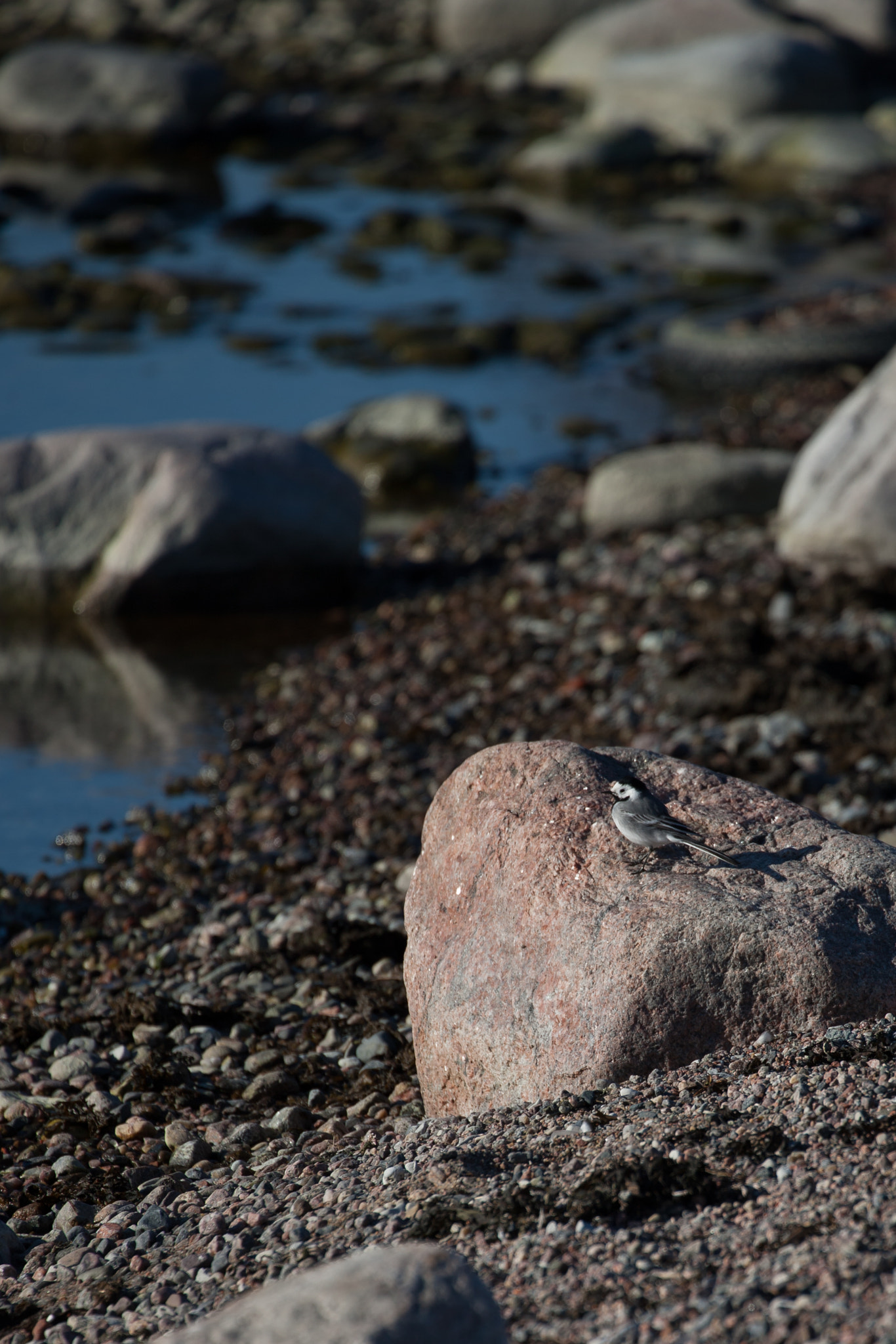 Canon EOS-1Ds Mark III sample photo. Imgl0635-2.jpg photography