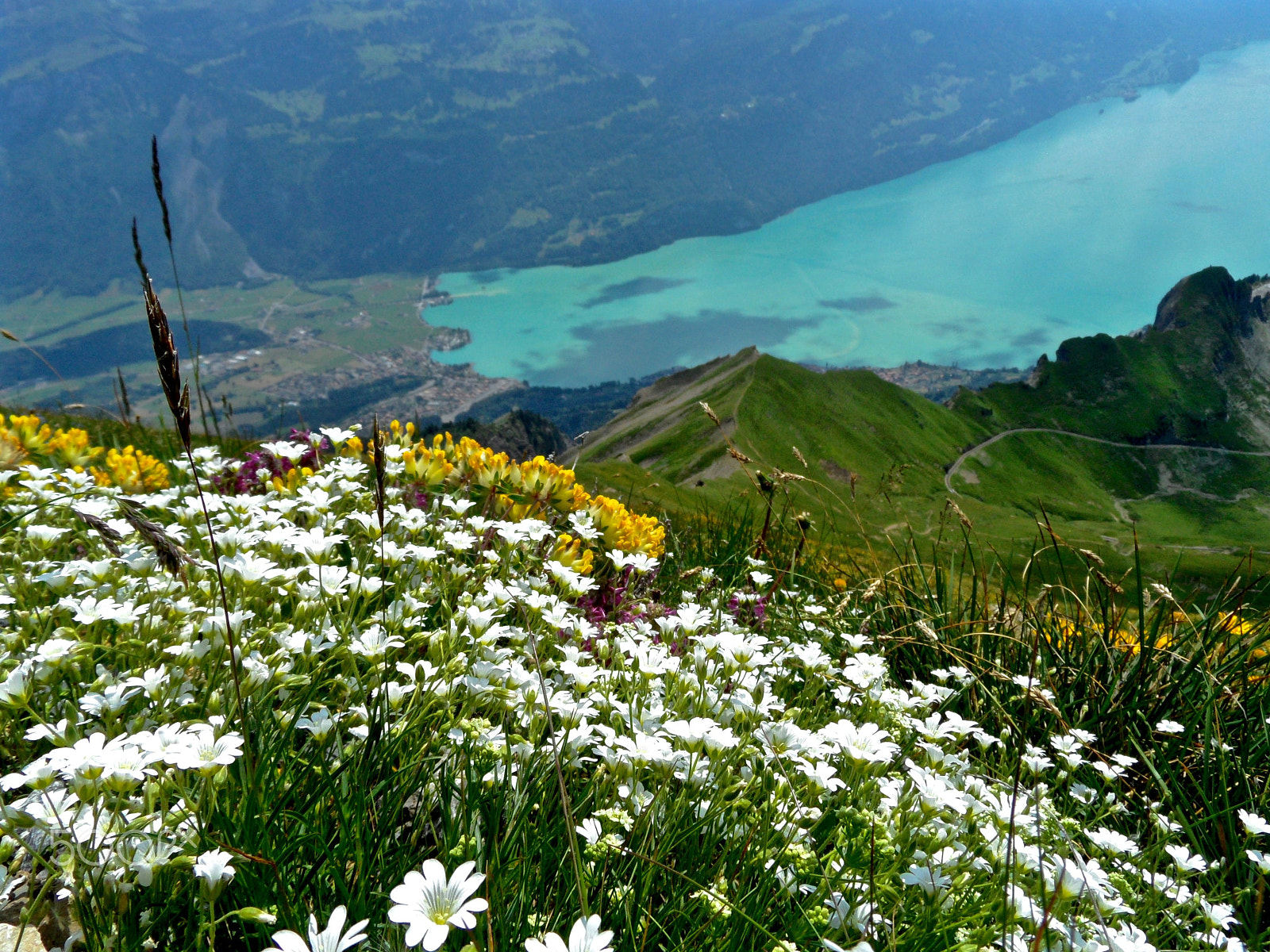 Samsung WB650 / VLUU WB650 /  WB660 sample photo. Brienzersee,switzerland photography