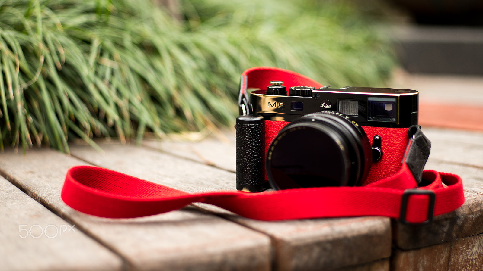 Noctilux-M 1:1/50 sample photo. Selfpolished leica m8.2 with red skin photography