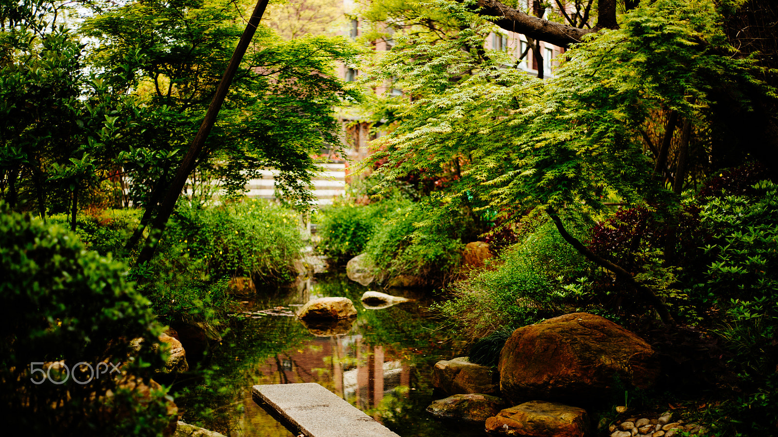 Noctilux-M 1:1/50 sample photo. In a peace photography