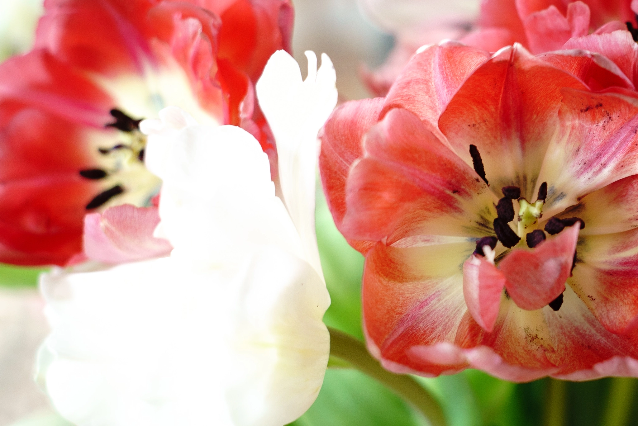 E 50mm F2 sample photo. Zeiss loxia 50mm photography