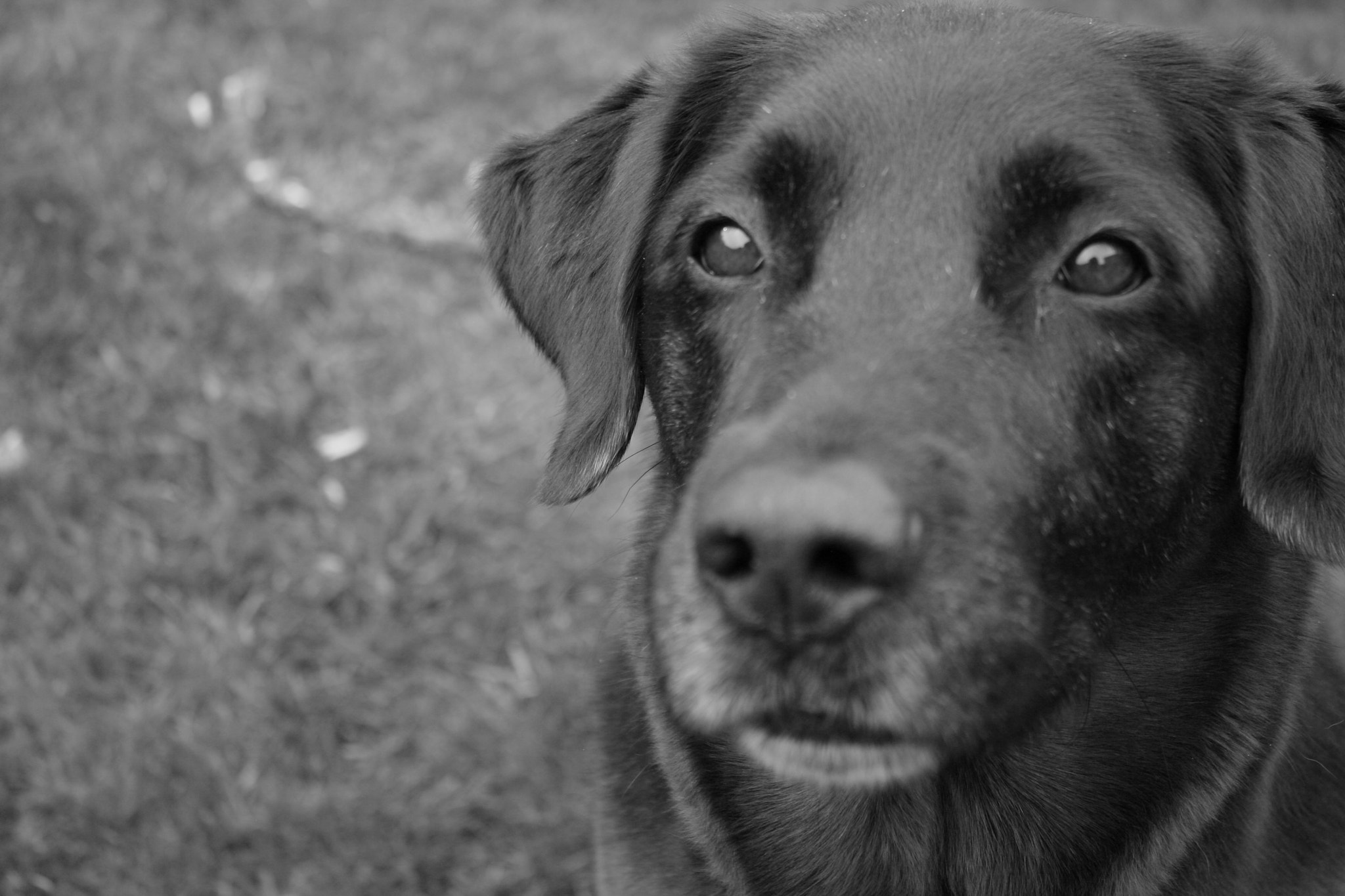 Canon EOS 400D (EOS Digital Rebel XTi / EOS Kiss Digital X) sample photo. Img_1793.jpg photography