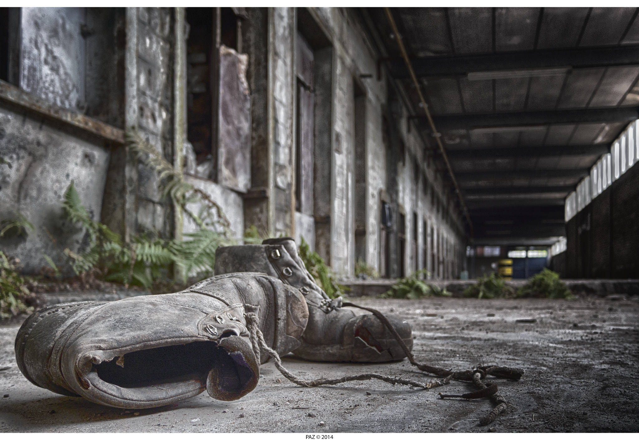 Olympus OM-D E-M10 + Panasonic Lumix G 14mm F2.5 ASPH sample photo. No more blue suede shoes... photography