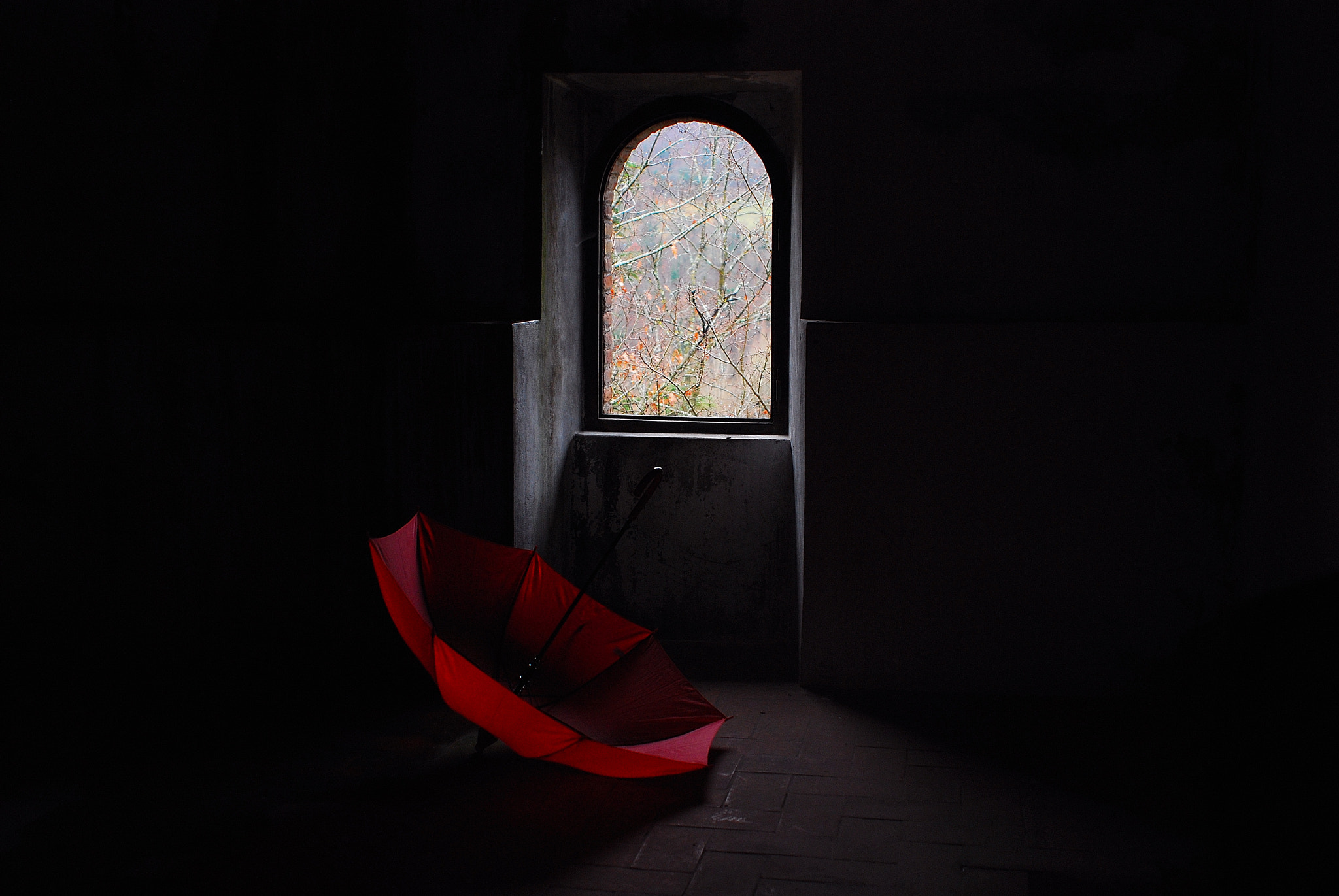 AF Zoom-Nikkor 28-85mm f/3.5-4.5 sample photo. Red solitude photography
