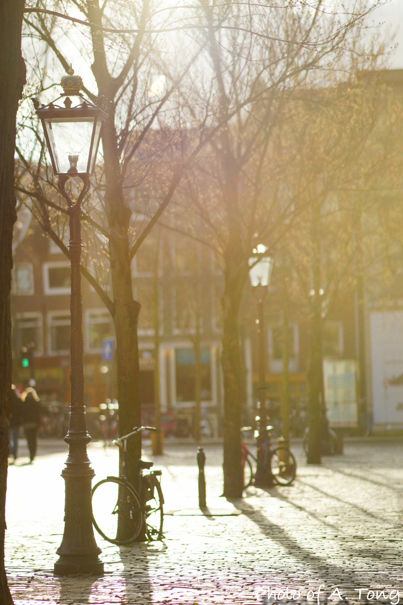 Sony Sonnar T* 135mm F1.8 ZA sample photo. Street photo in amsterdam photography