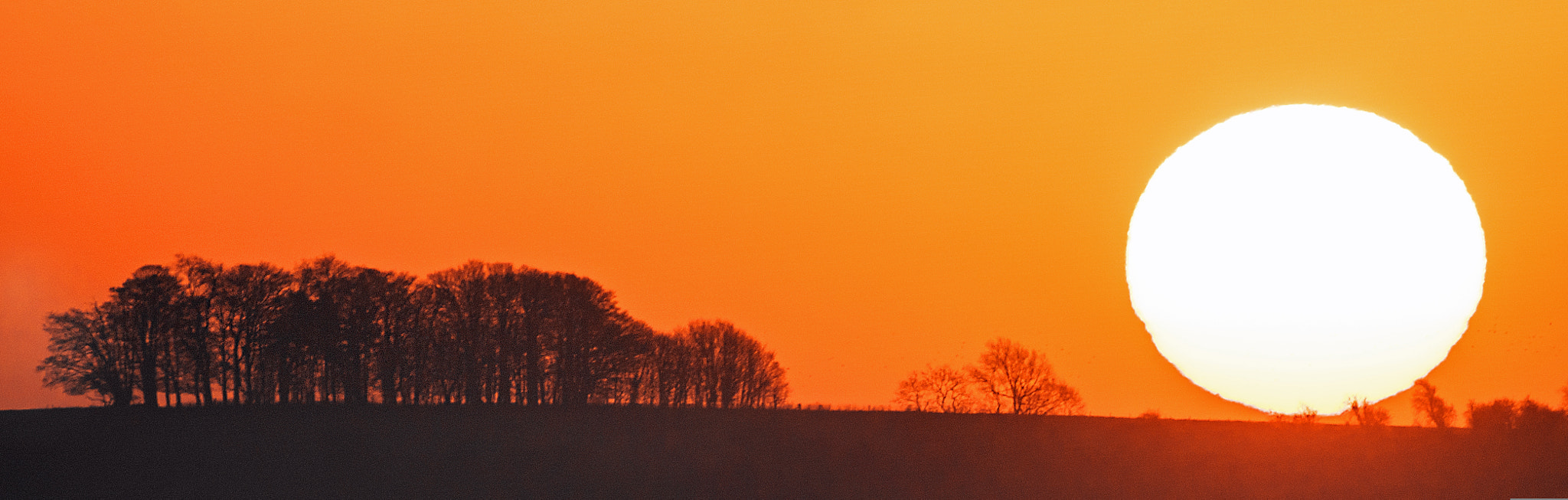 Minolta AF 400mm F4.5 HS-APO G sample photo. Sunlight, cotswolds, gloucestershire photography