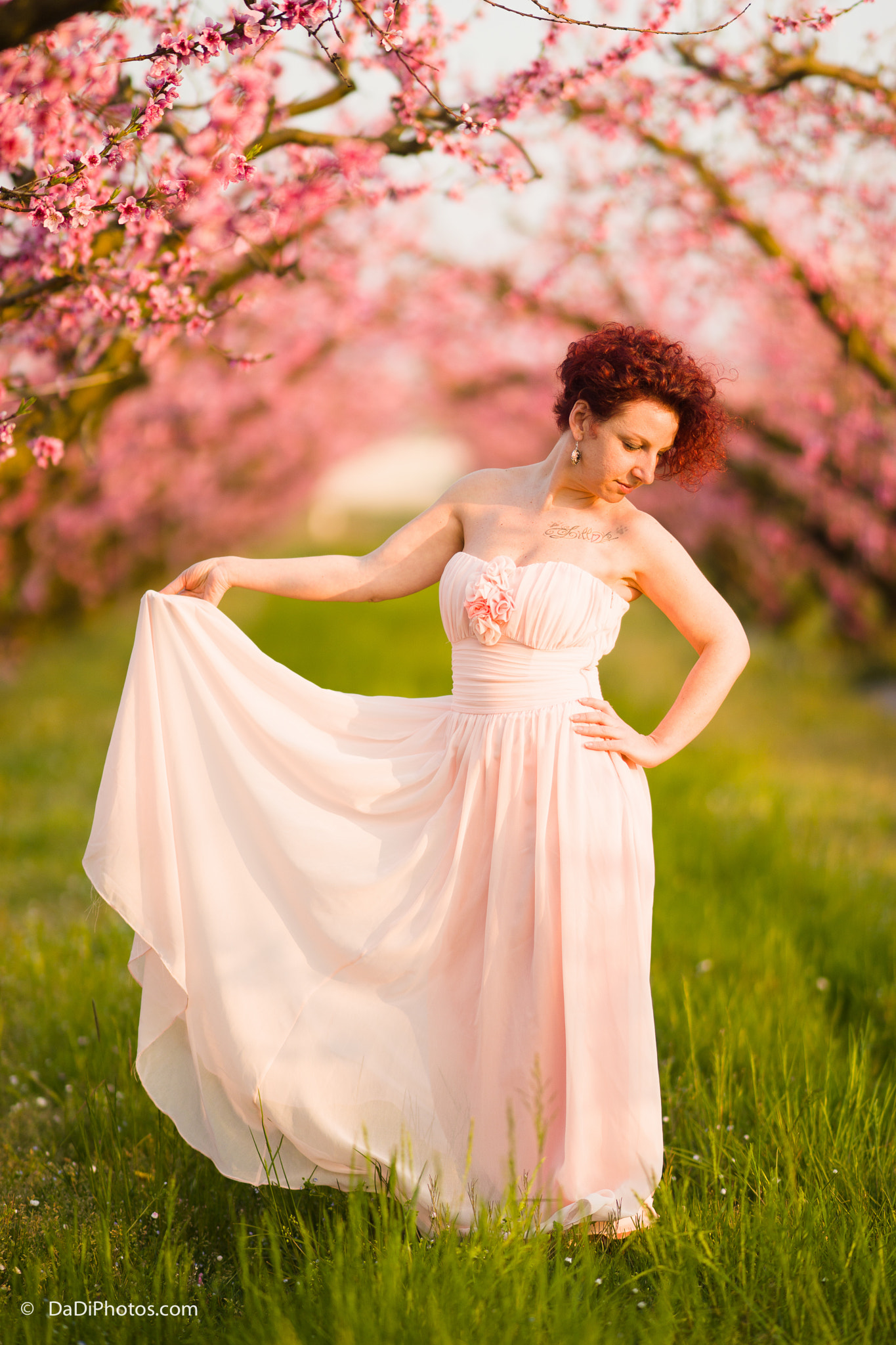 Sony Sonnar T* 135mm F1.8 ZA sample photo. Daniele dimiccoli photographer photography