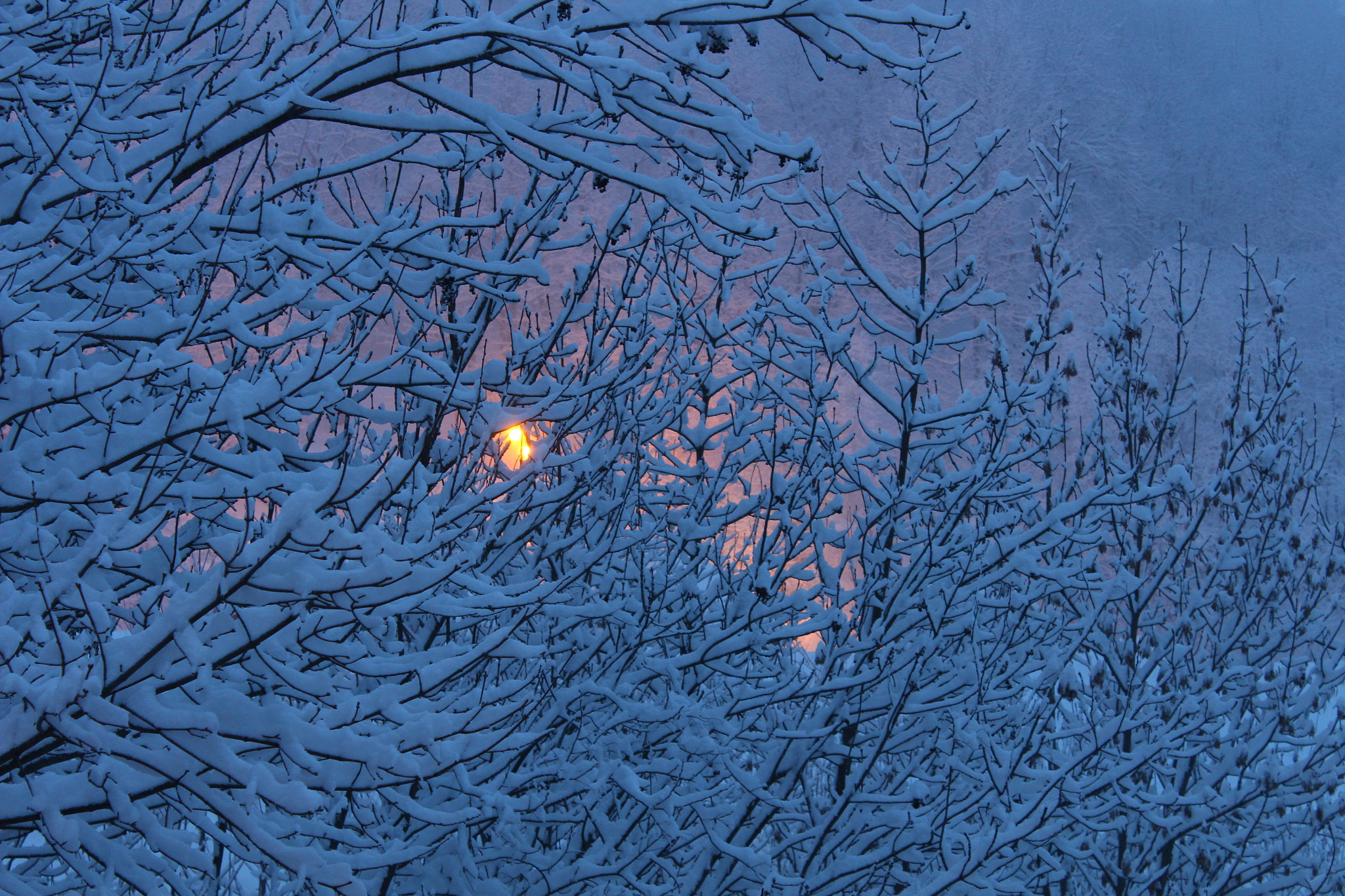 Canon EOS 650D (EOS Rebel T4i / EOS Kiss X6i) sample photo. Early morning lights in the snow of the french alps photography