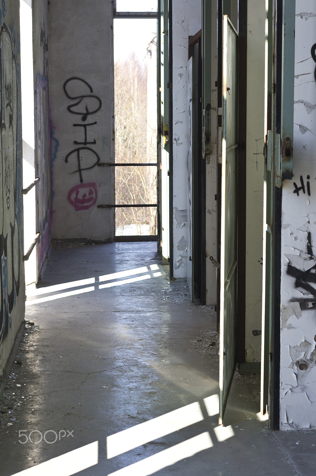 MACRO 50mm F2.8 sample photo. Inside the old saw mill photography