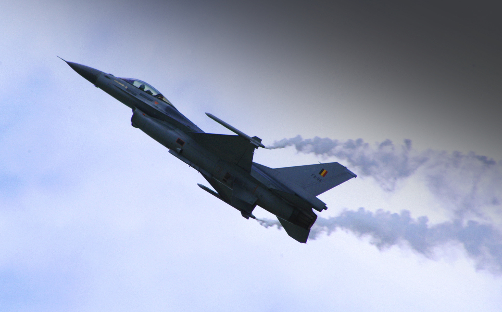 Nikon D100 sample photo. Fighter photography