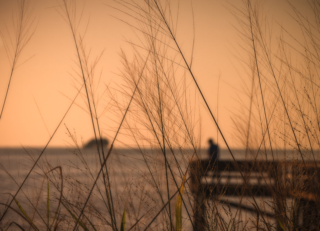 Olympus PEN E-P3 sample photo. Your just a distant memory photography