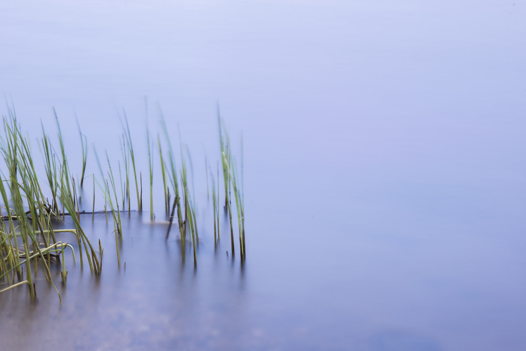 ZEISS Makro-Planar T* 100mm F2 sample photo. Spring photography