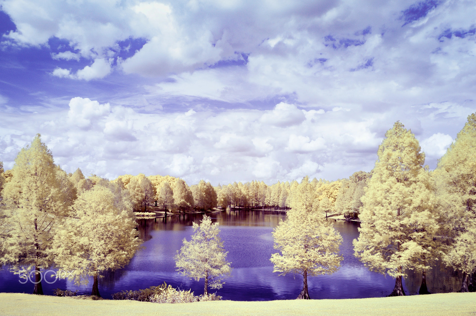 Nikon D300S sample photo. Urban wetlands, infrared photography