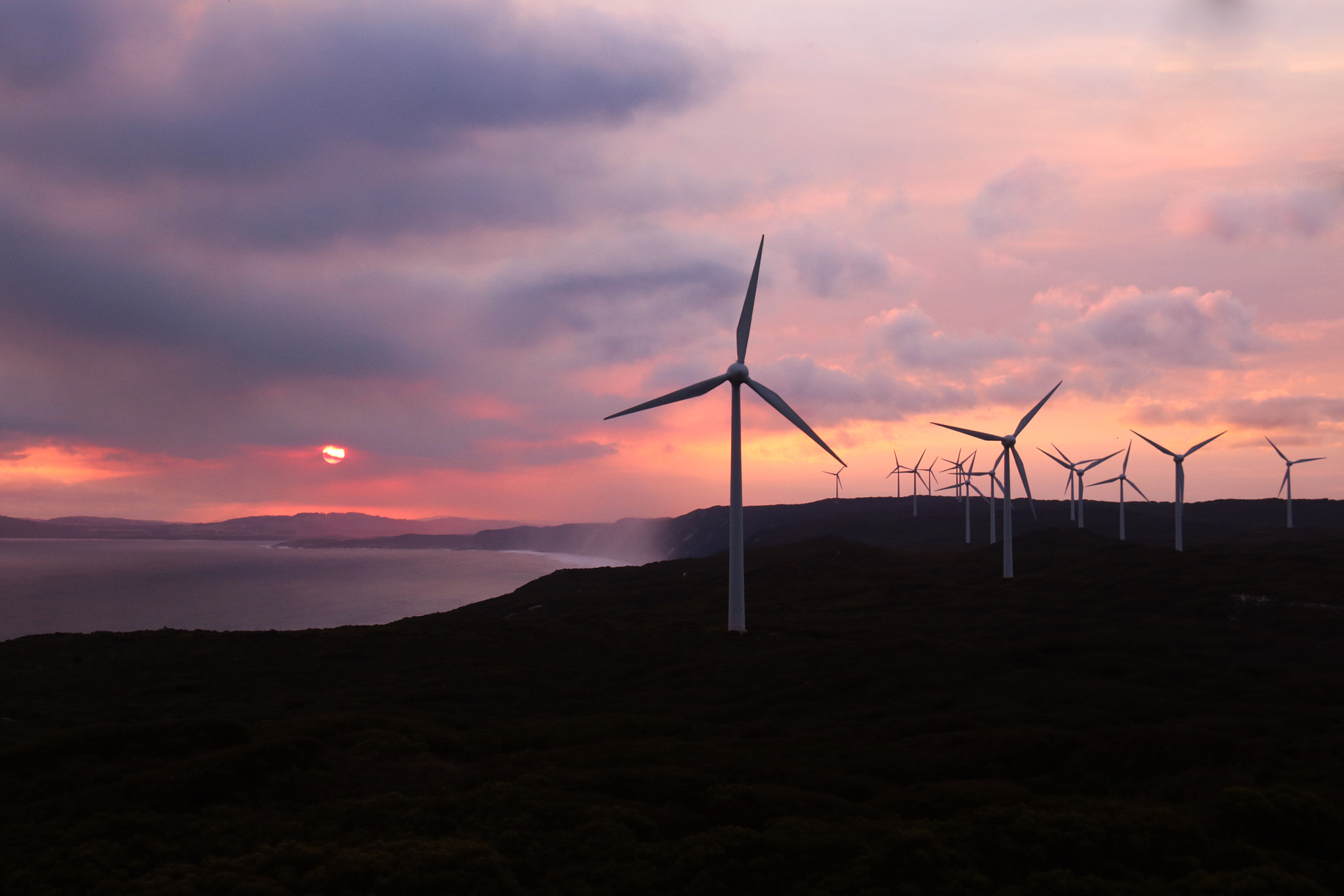 Canon EOS 760D (EOS Rebel T6s / EOS 8000D) sample photo. Albany windfarm photography