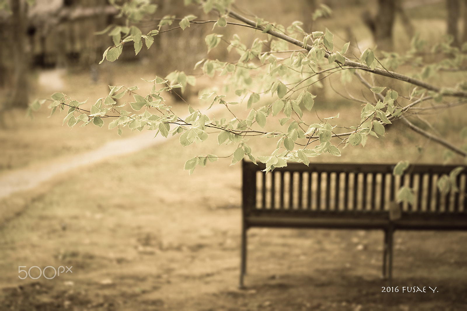 Nikon Df sample photo. Your memories photography