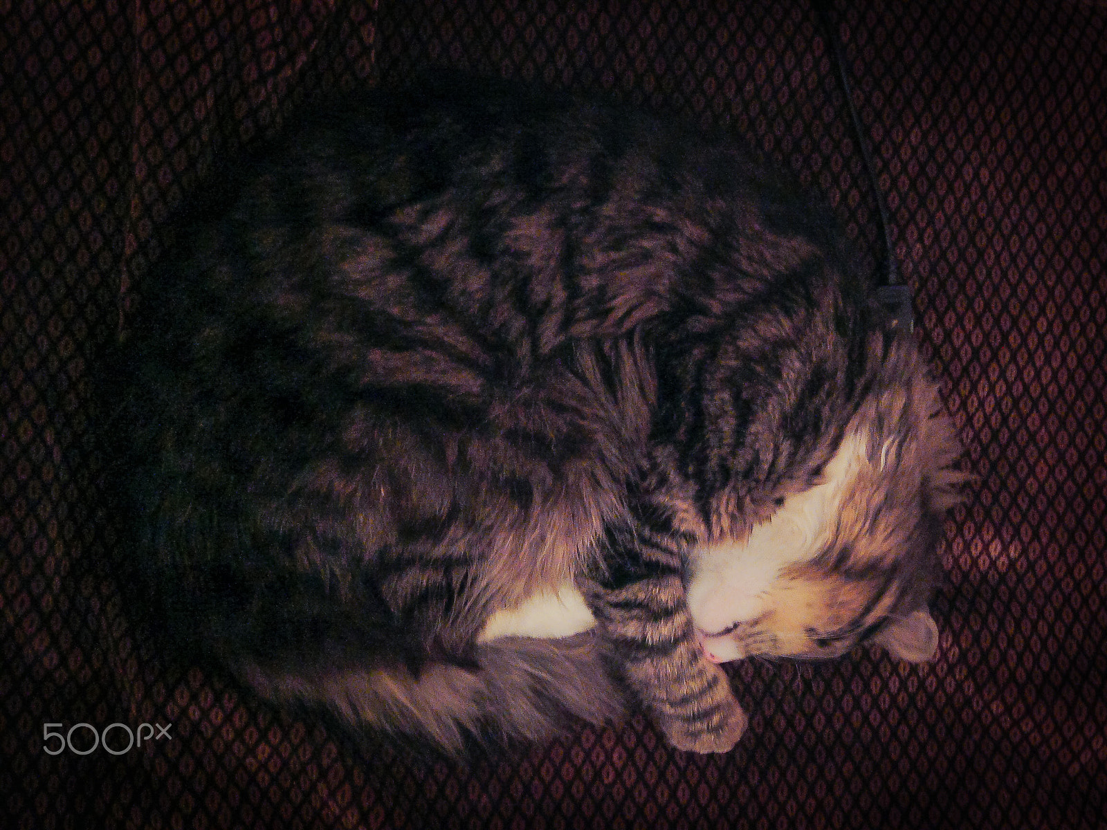 Panasonic DMC-LC70 sample photo. Sleep photography