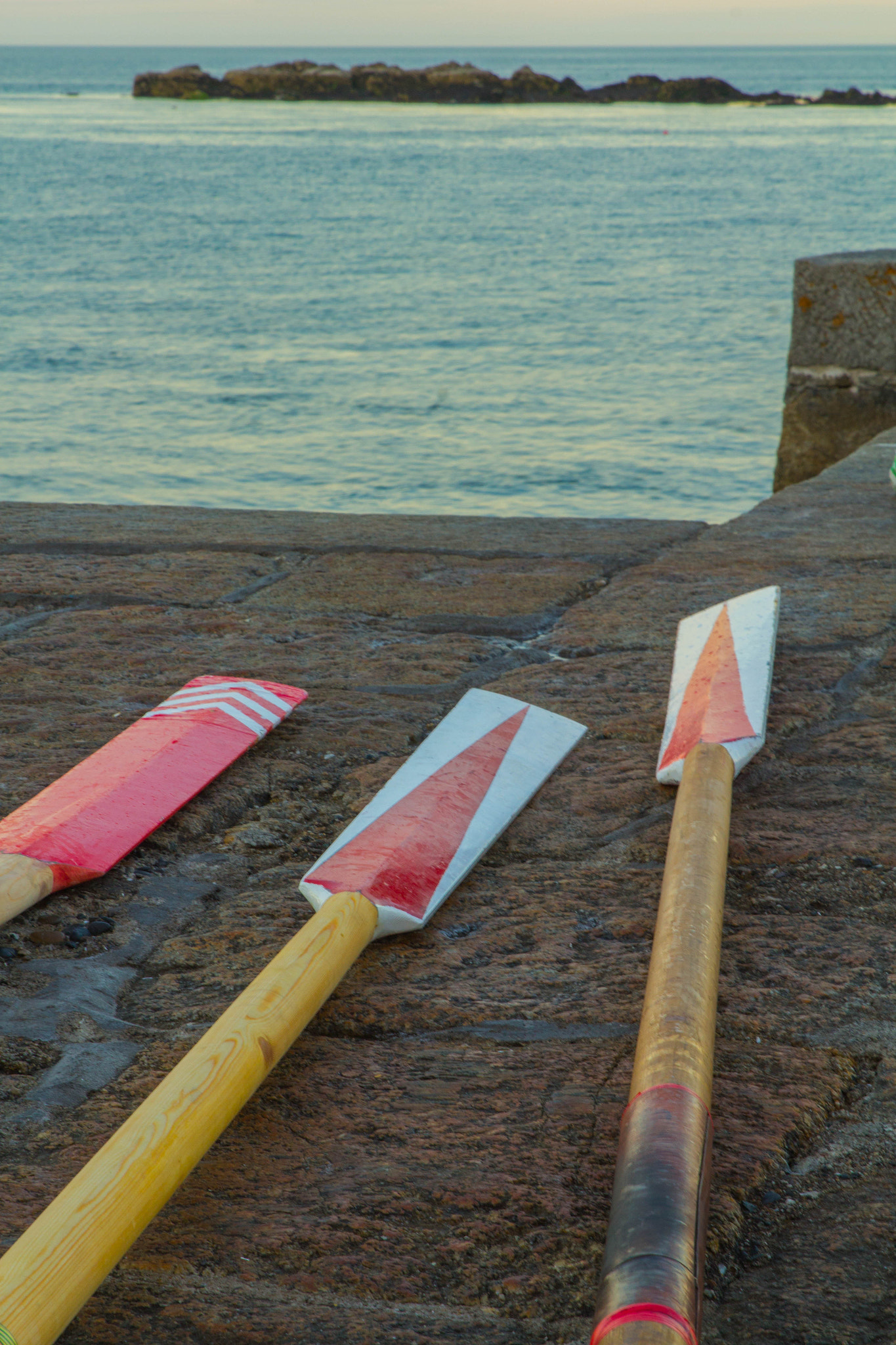 Canon EOS 1200D (EOS Rebel T5 / EOS Kiss X70 / EOS Hi) + Sigma 24-70mm F2.8 EX DG Macro sample photo. Dalkey rowing club oars photography