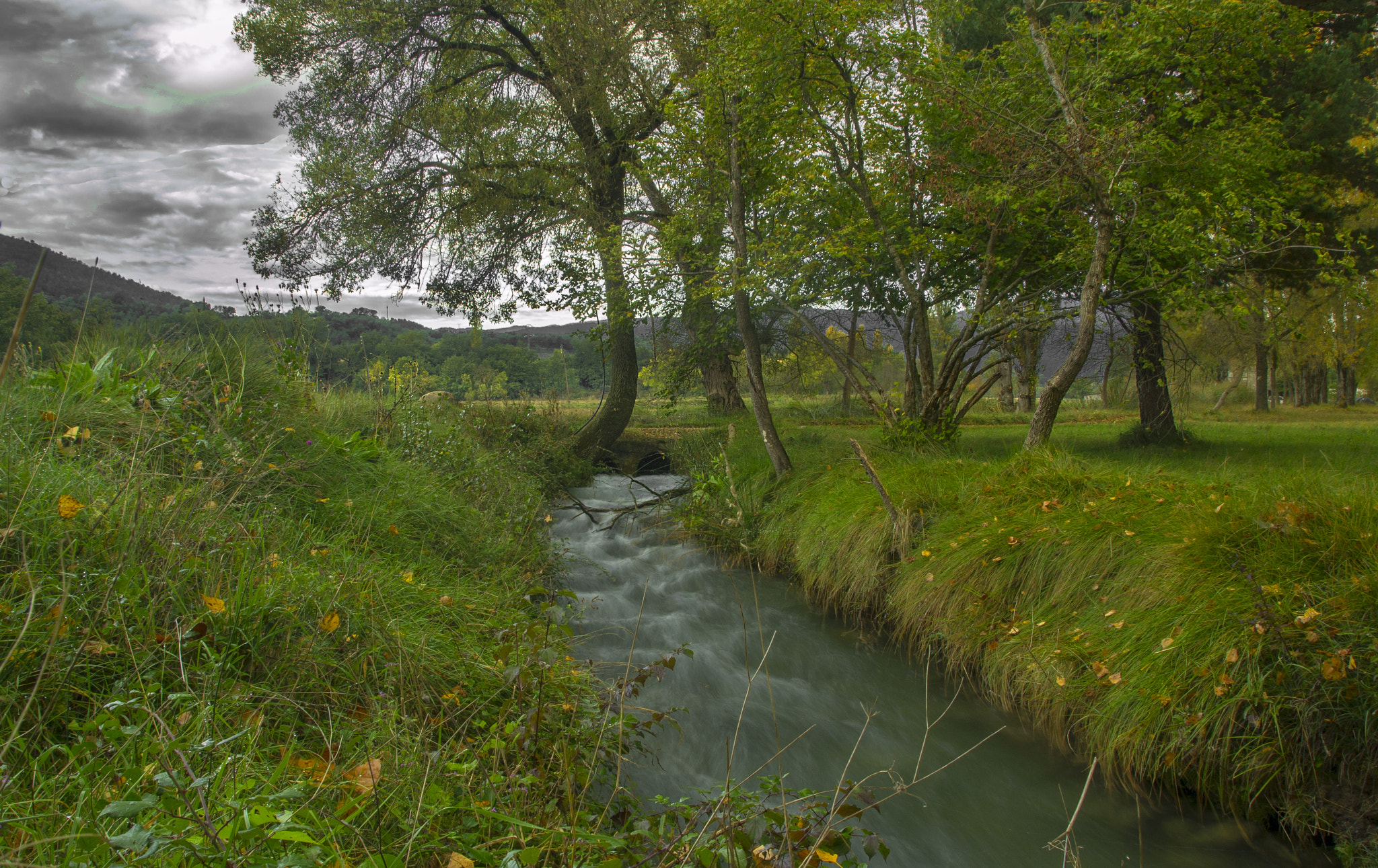 Sigma 18-200mm F3.5-6.3 II DC OS HSM sample photo. Forest photography