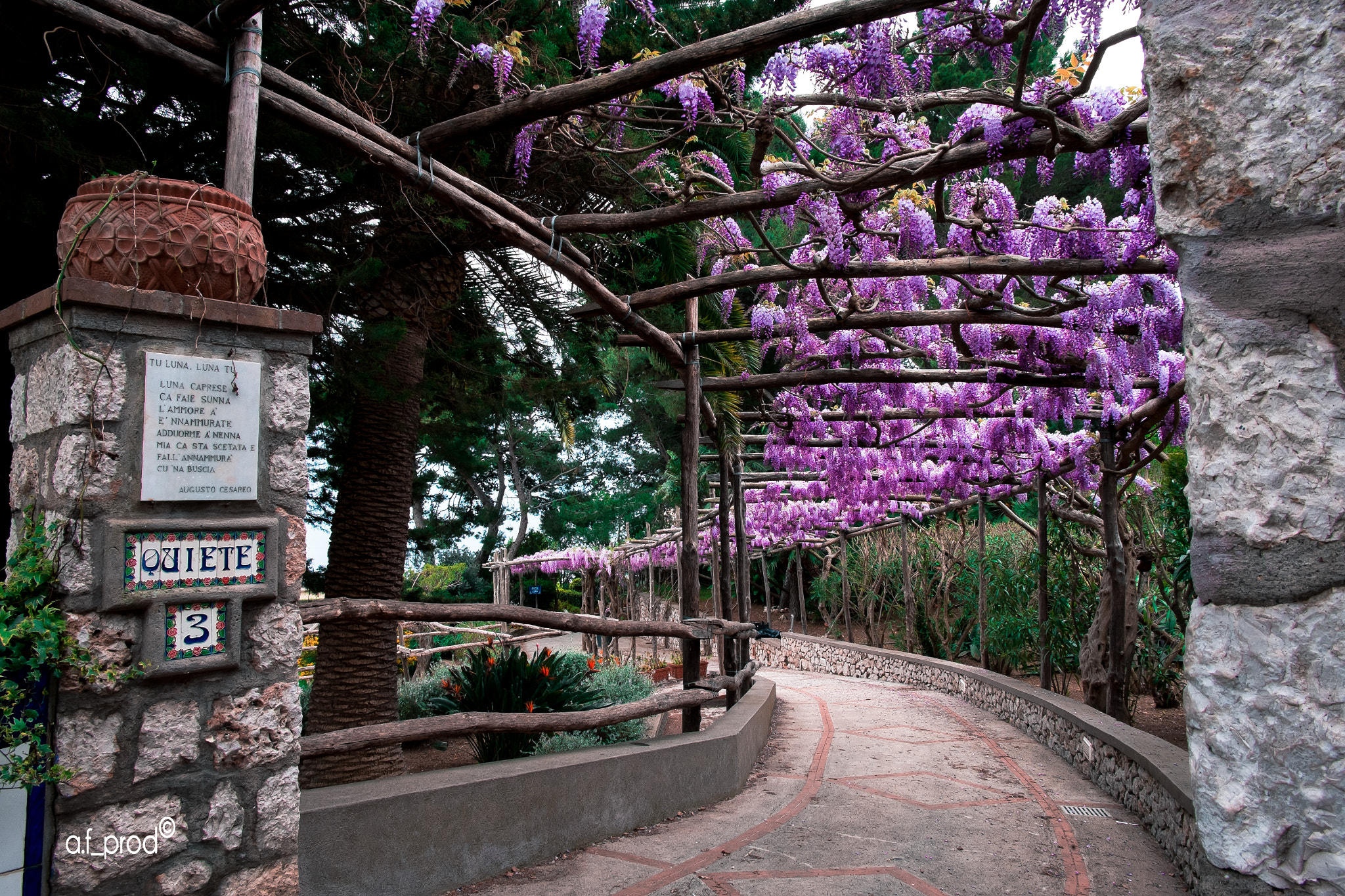 Fujifilm X-Pro1 + Fujifilm XC 16-50mm F3.5-5.6 OIS II sample photo. Spring in capri photography