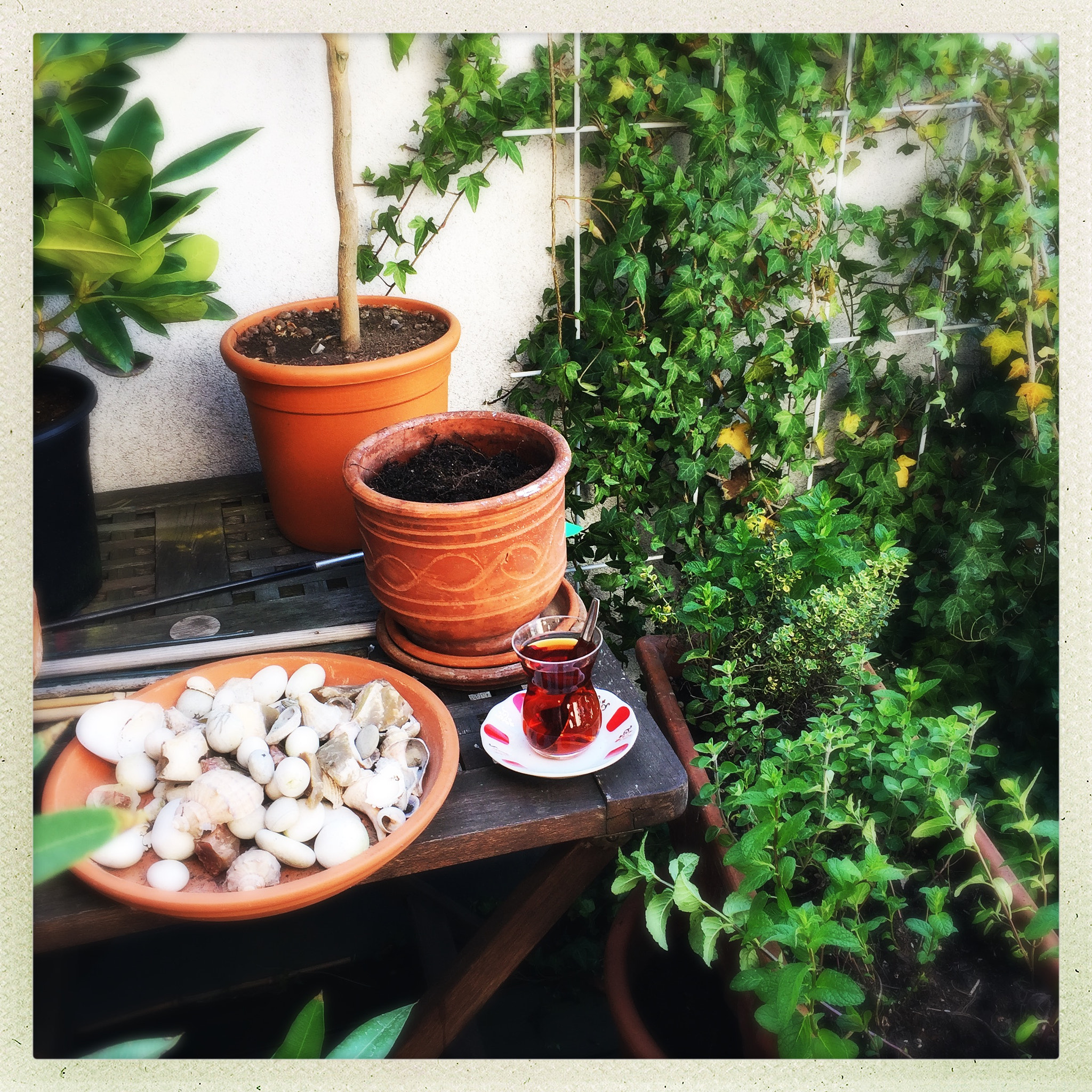 Hipstamatic 302 sample photo. Terrace gardening photography