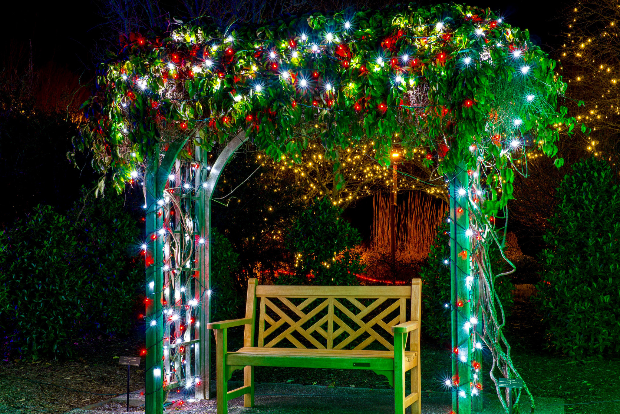 E 32mm F1.8 sample photo. Christmas lights photography