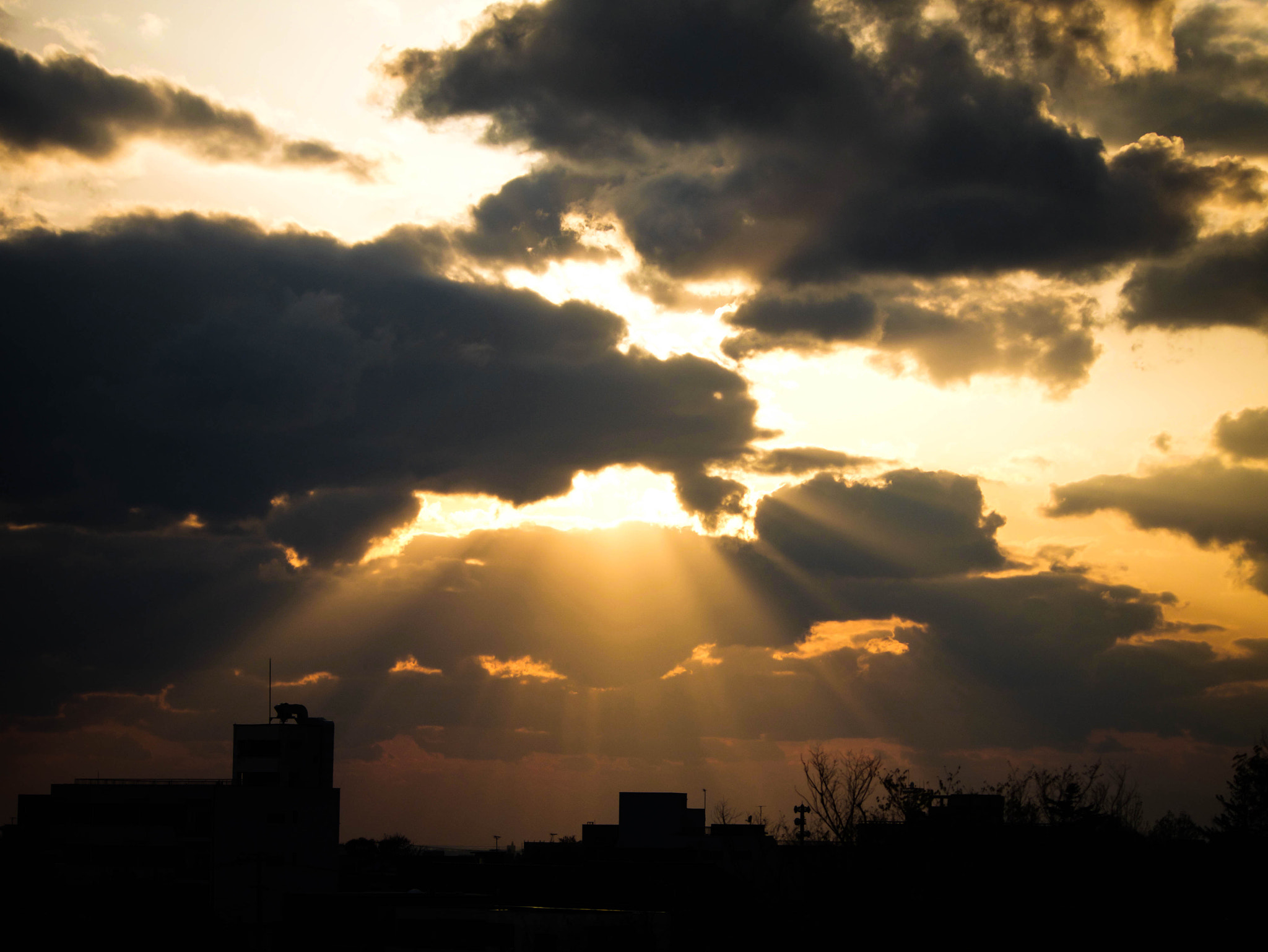 Panasonic Lumix DMC-GX7 sample photo. Light explode photography