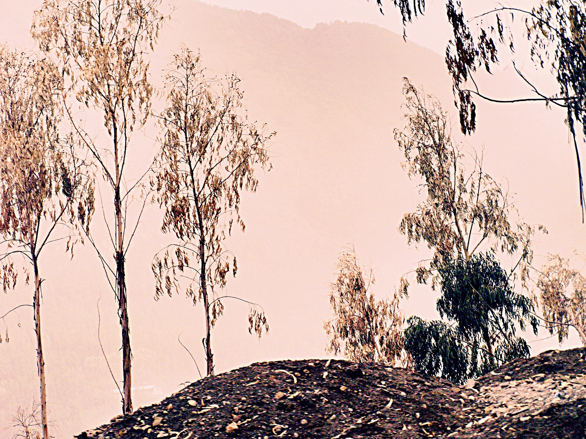 Olympus E-400 (EVOLT E-400) sample photo. Dryness in ethiopia. photography