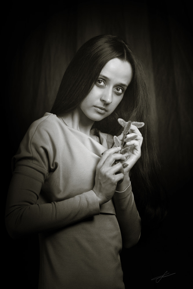 Sony Planar T* 85mm F1.4 ZA sample photo. Портрет с вербой photography