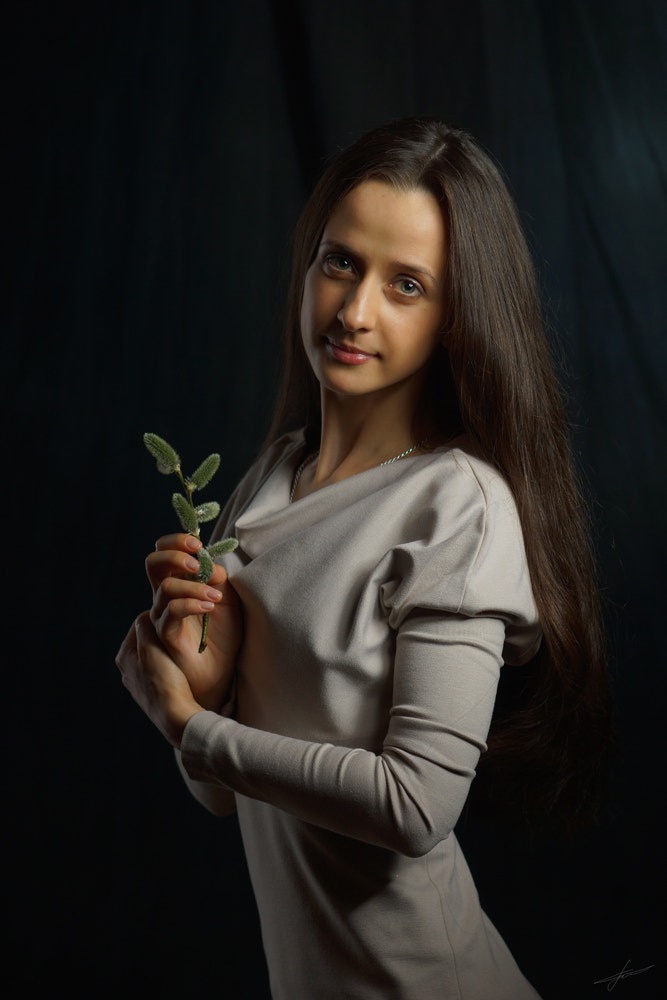 Sony Planar T* 85mm F1.4 ZA sample photo. Портет с вербой photography