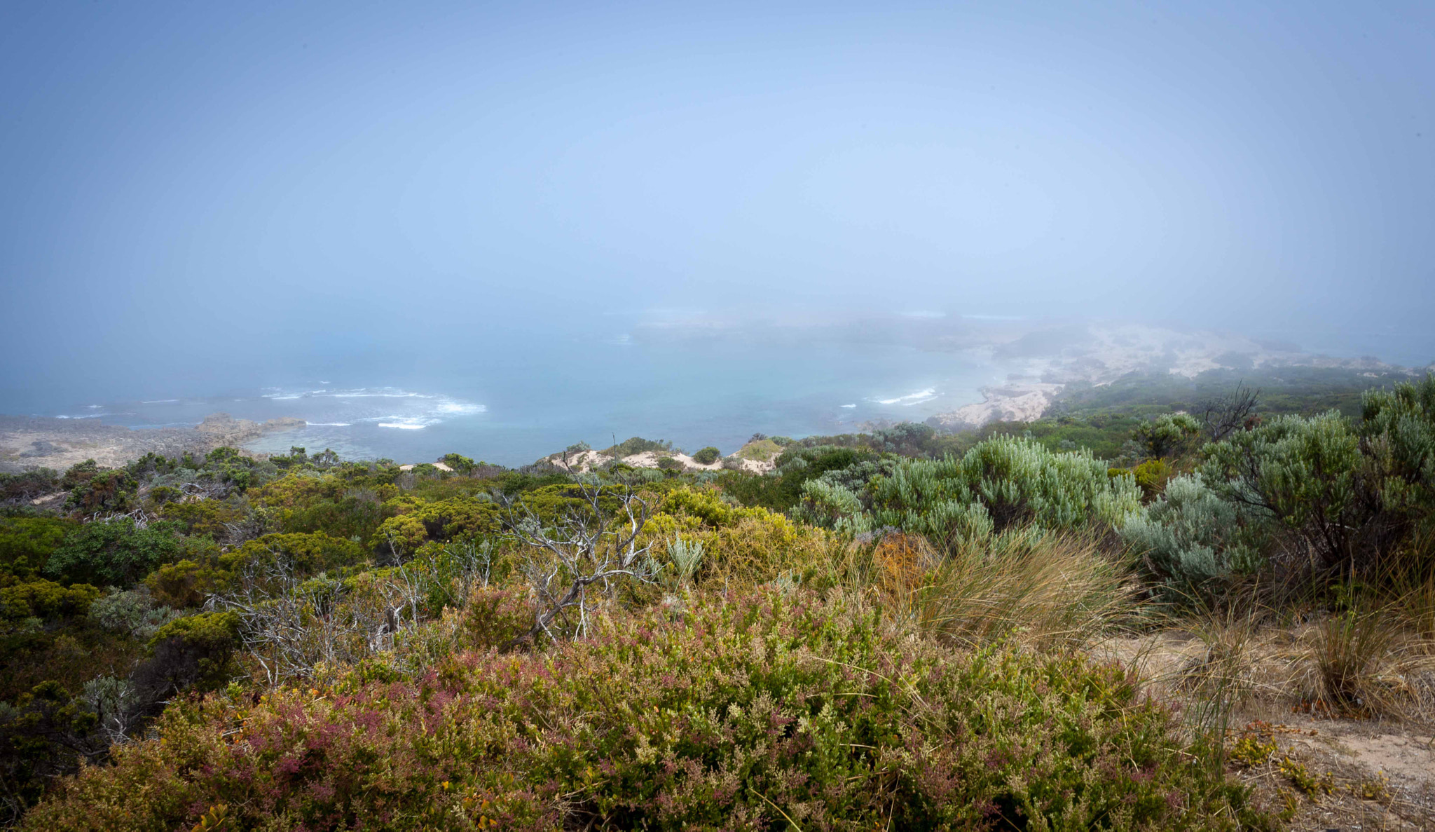 Canon EF 28-90mm f/4-5.6 sample photo. Foggy day photography