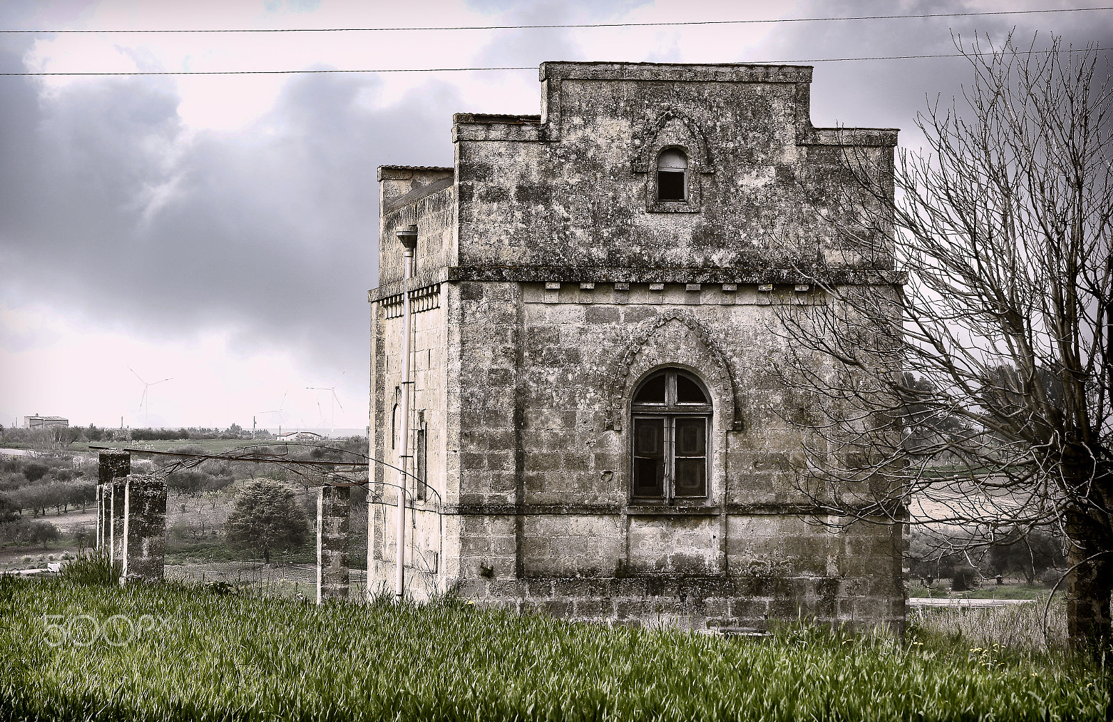 FSA-L2, EDG 65, 800mm F13 G sample photo. Charming decadence-in viaggio appia antica photography