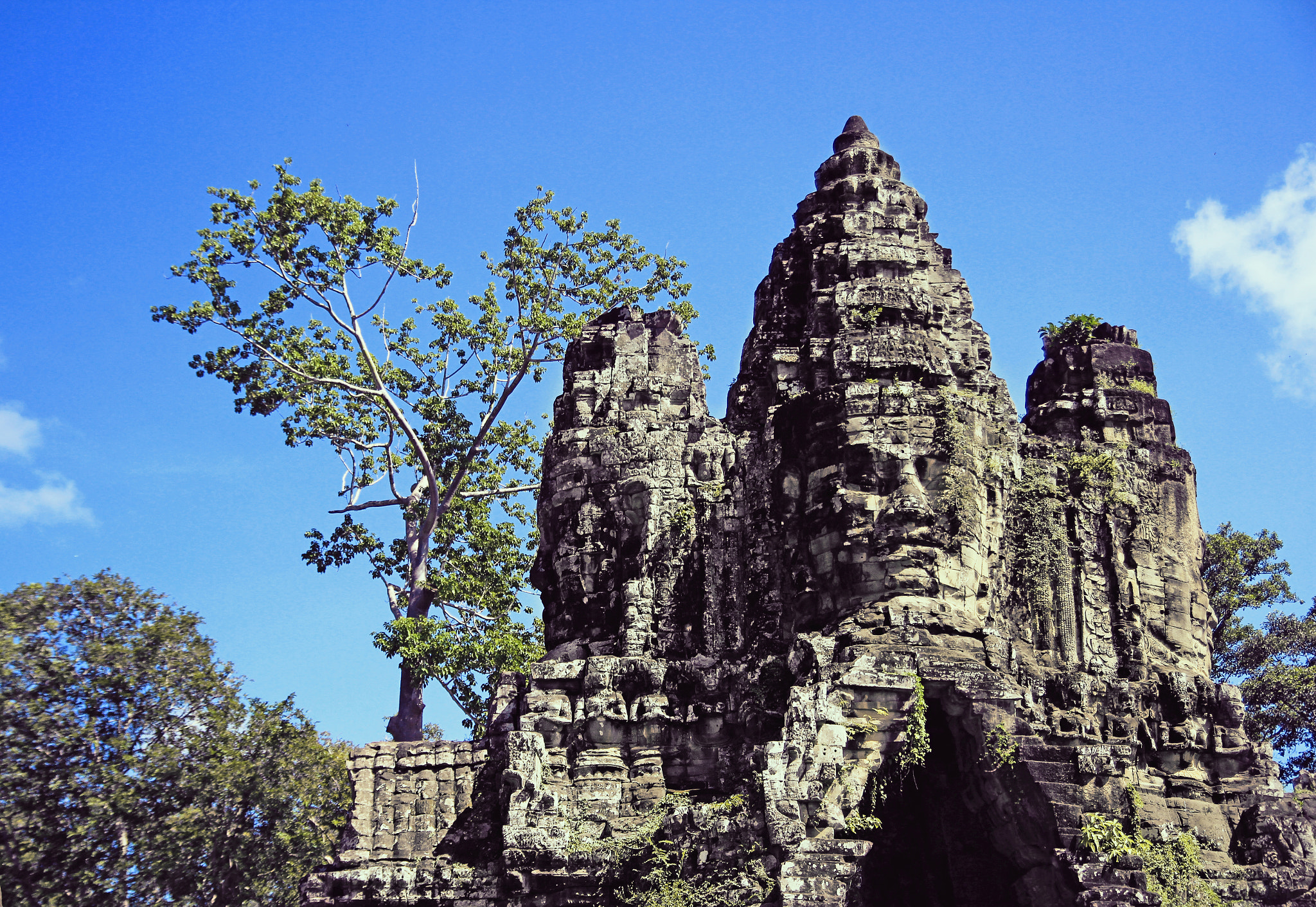 Canon EOS 600D (Rebel EOS T3i / EOS Kiss X5) sample photo. Ancient trait photography