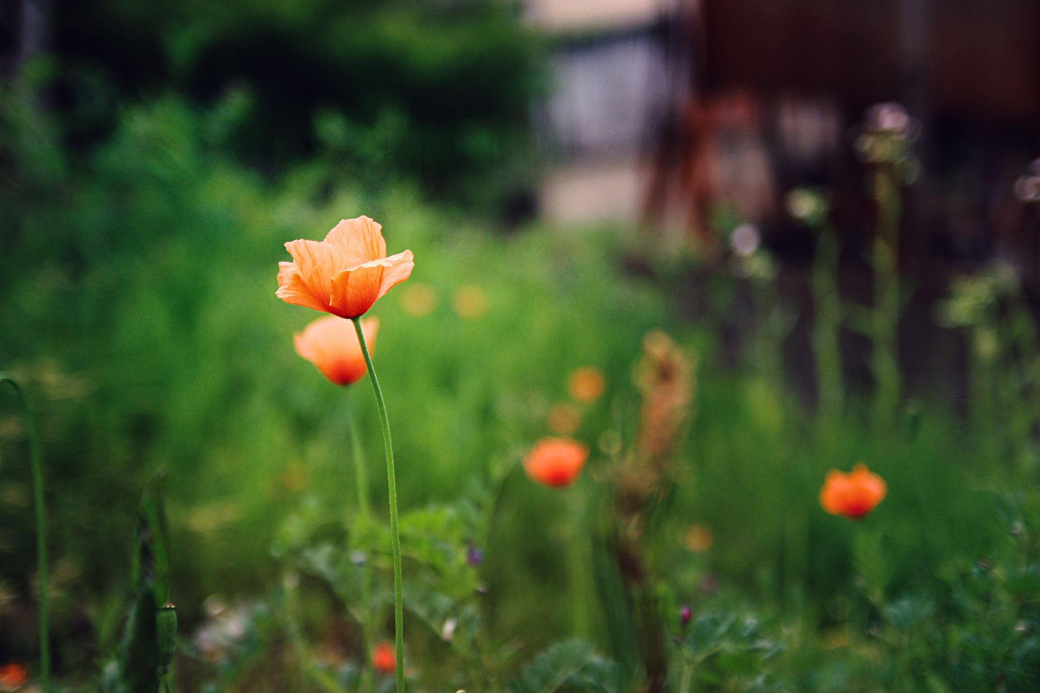 Canon EOS 600D (Rebel EOS T3i / EOS Kiss X5) sample photo. Stillness photography