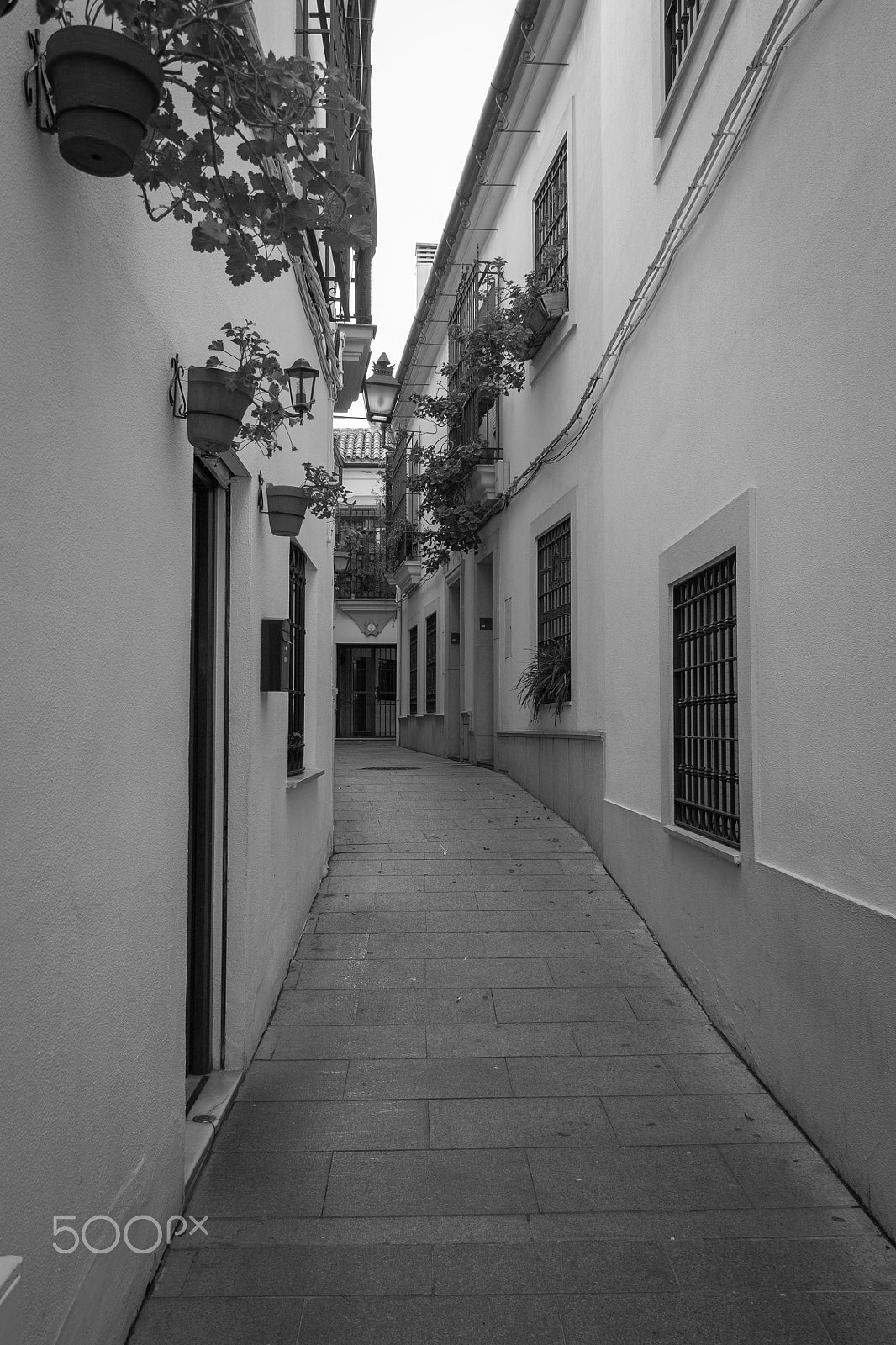 Canon EF-S 18-135mm F3.5-5.6 IS STM sample photo. Córdoba , spain. photography