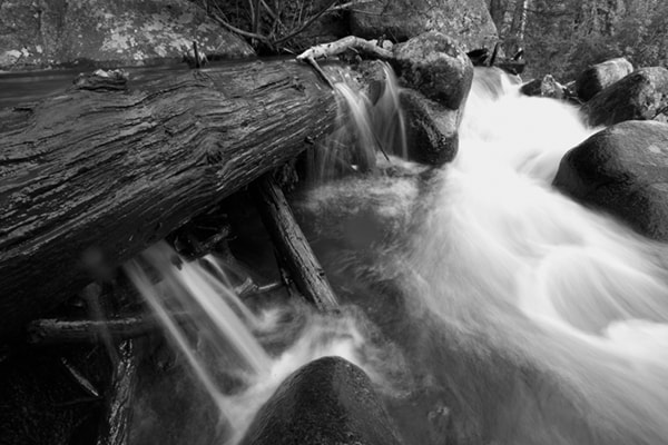 Kodak DCS Pro SLR/n sample photo. Logjambw copy photography